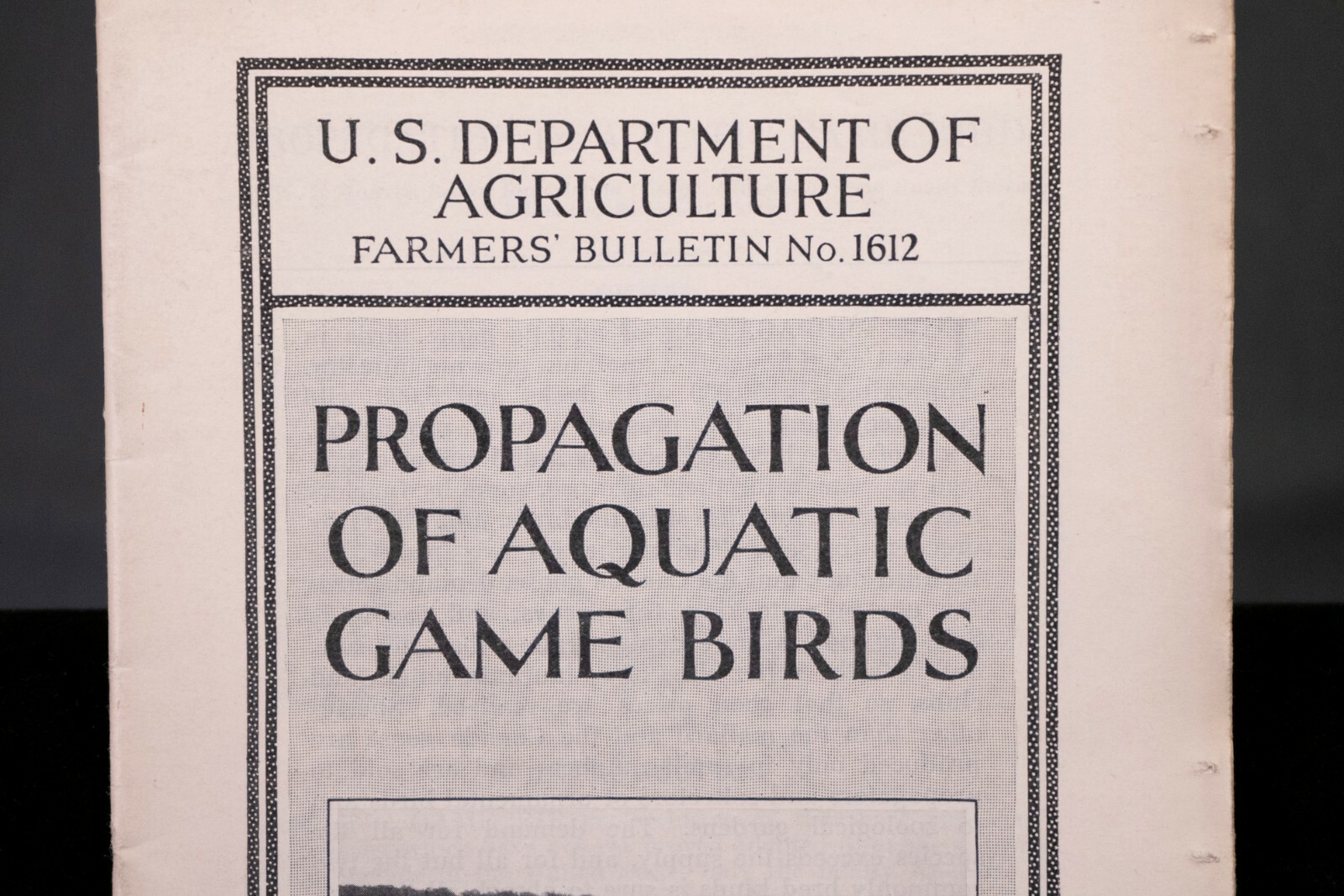 1930 Booklet Department of Agriculture, Propagation Of Game Birds No.1612