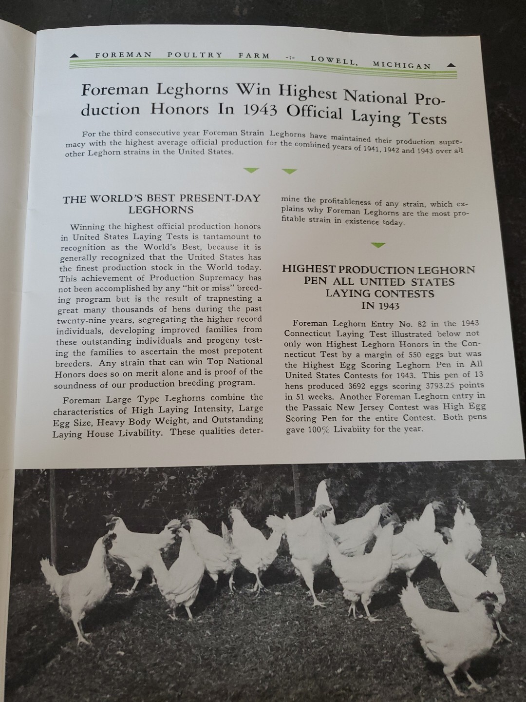 1944 Foreman Poultry Farm Catalog Chickens Beautiful & RARE 🐔