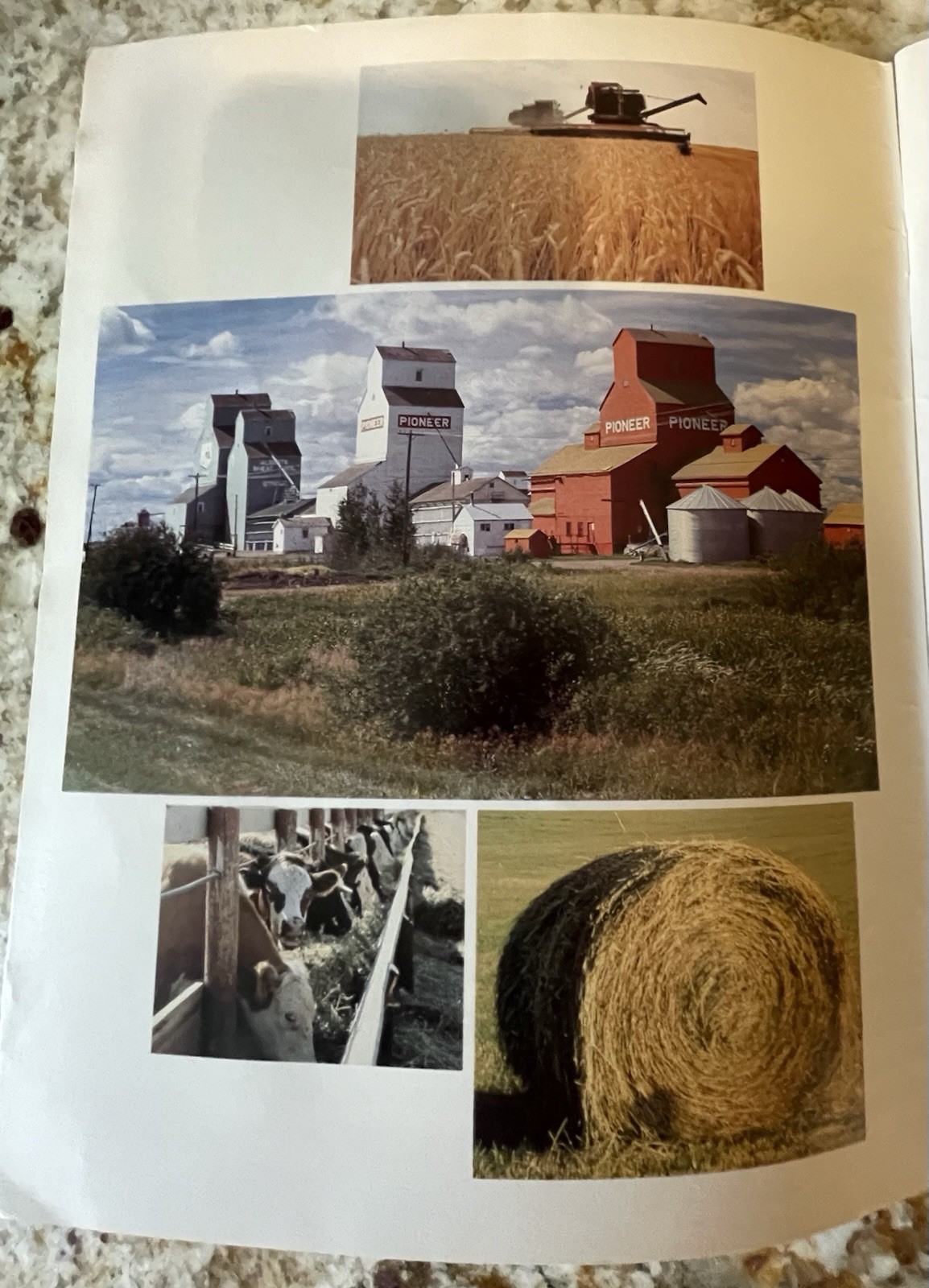 Vintage Saskatchewan Imp Buyers Guide(84),Alberta Farm Imp, M&W Prod-3 Brochures