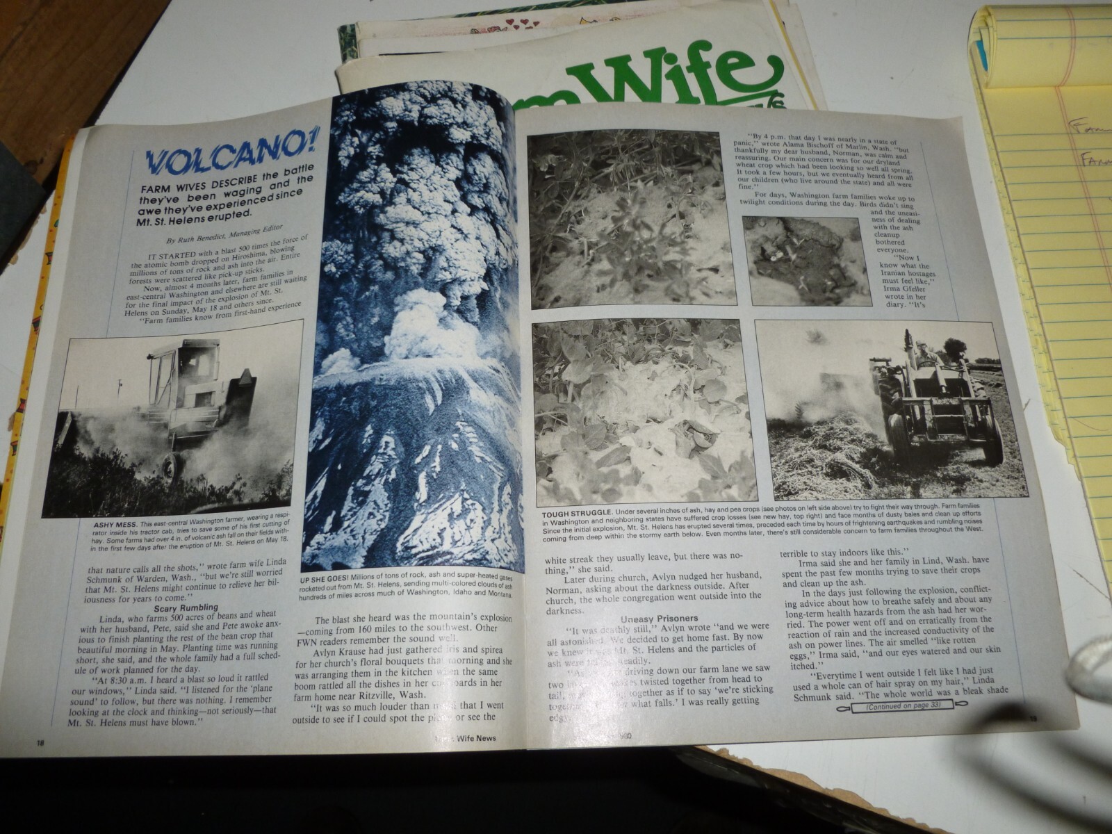 FARM and WIFE MAGAZINEs Lot (partial from 1972 through 1983) 30 magazines total