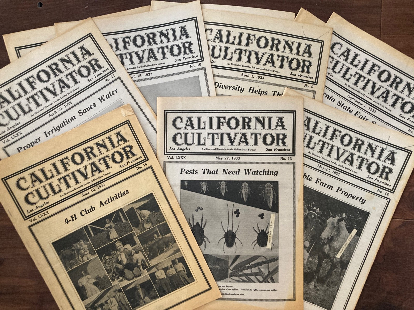 California Cultivator Agricultural Newspaper 1933 Biweekly Lot of 25 VHTF