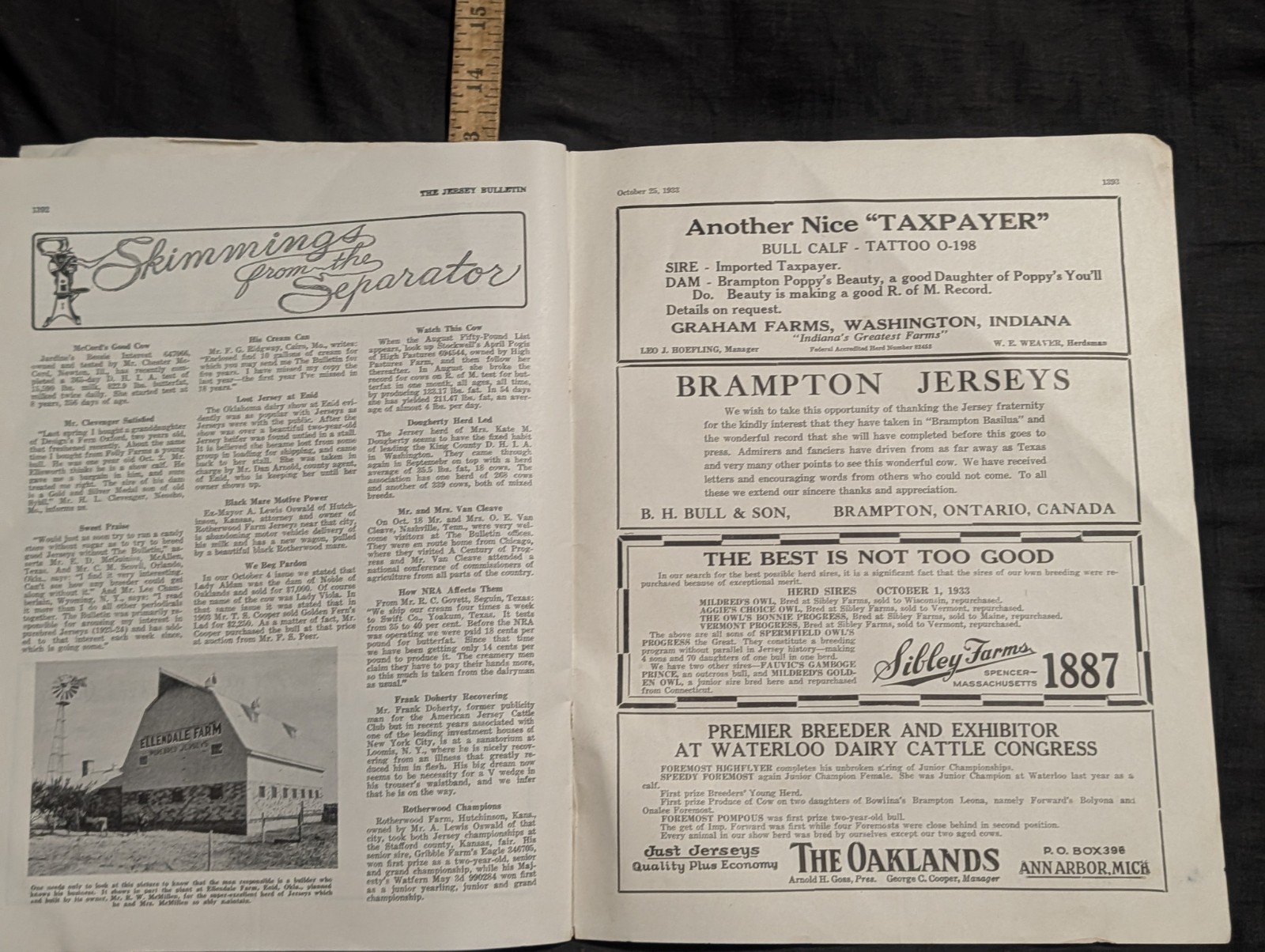 1933 The Jersey Bulletin, Agriculture dairy cattle farmer magazine