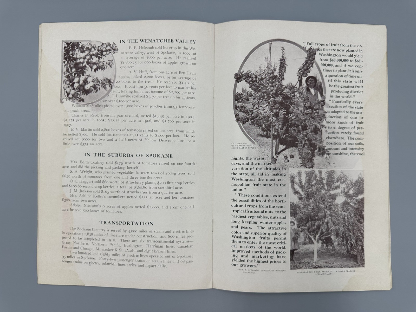 1908 SPOKANE COUNTRY Farming APPLE ORCHARD Fruit HOLT STEAM ENGINE Chamber MAP