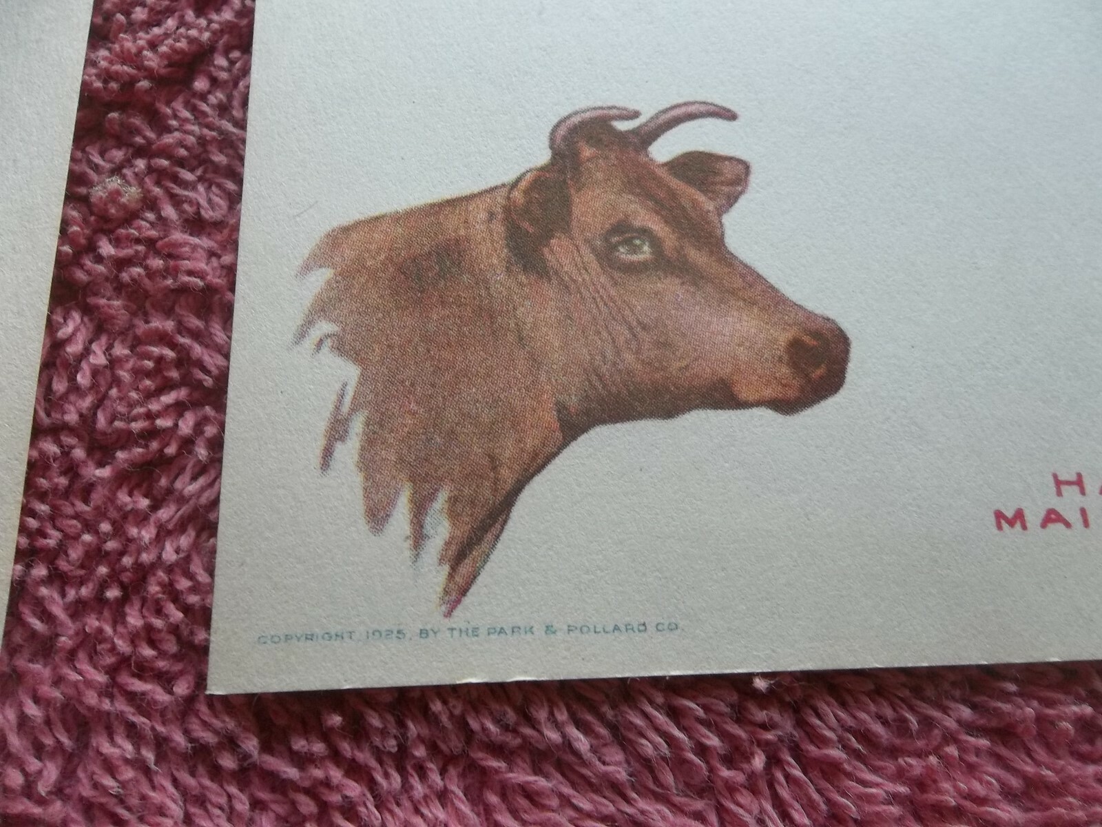 PARK & POLLARD UNIVERSAL RATION ECONOMY FEED STATIONERY Tunkhannock PA COWS