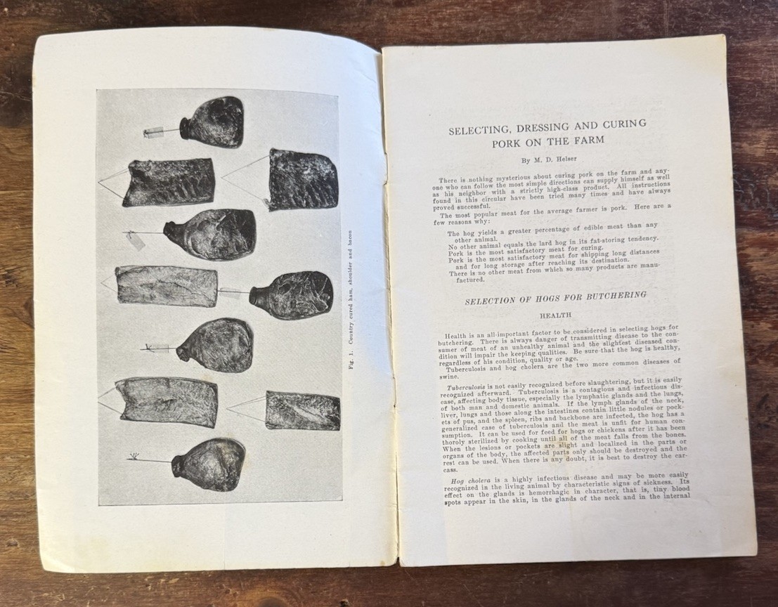 1929 Curing Pork On The Farm Ames Iowa State College Of Agriculture