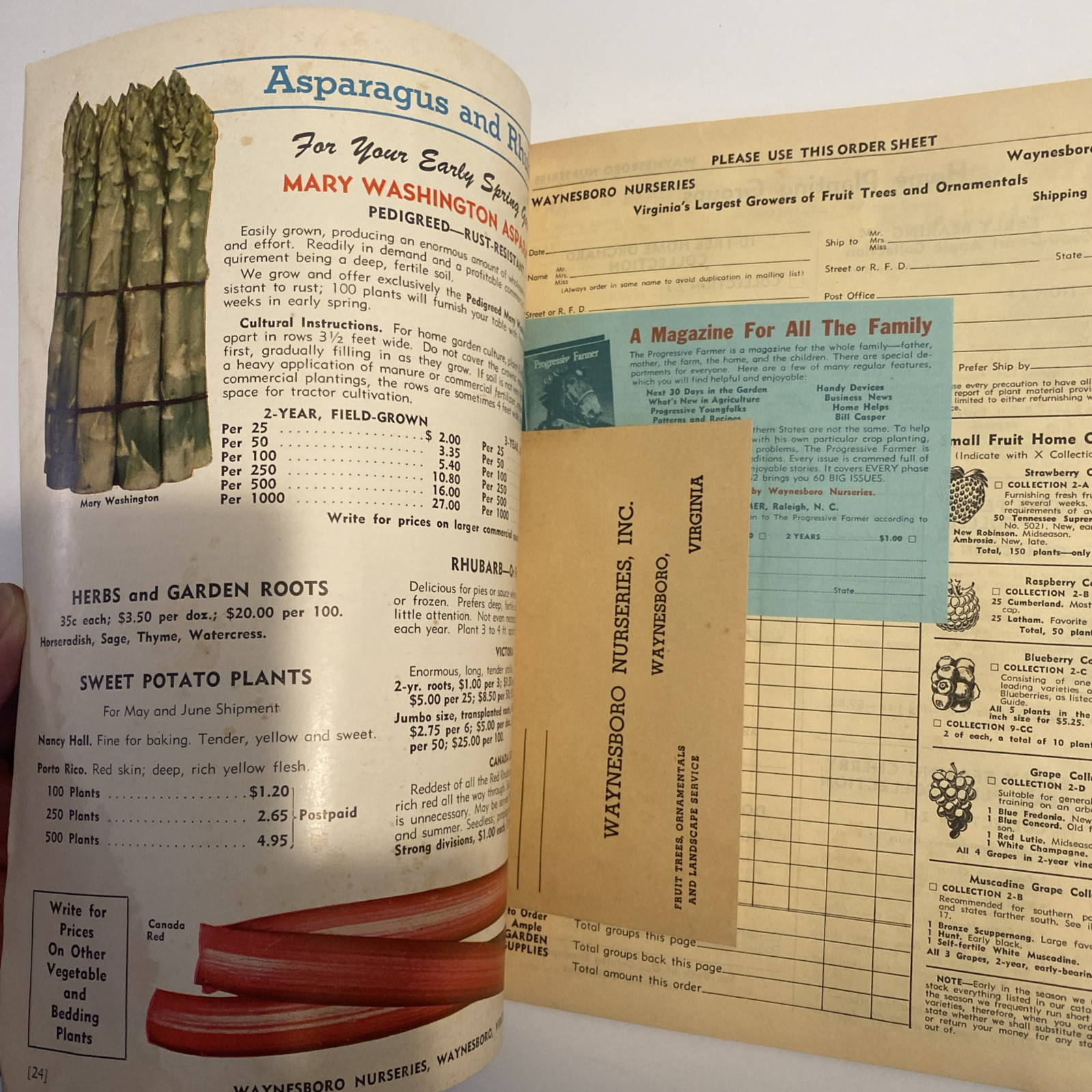 1952 VINTAGE WAYNESBORO NURSERIES FLOWER FRUIT SEED PLANTING CATALOG 48 Pgs