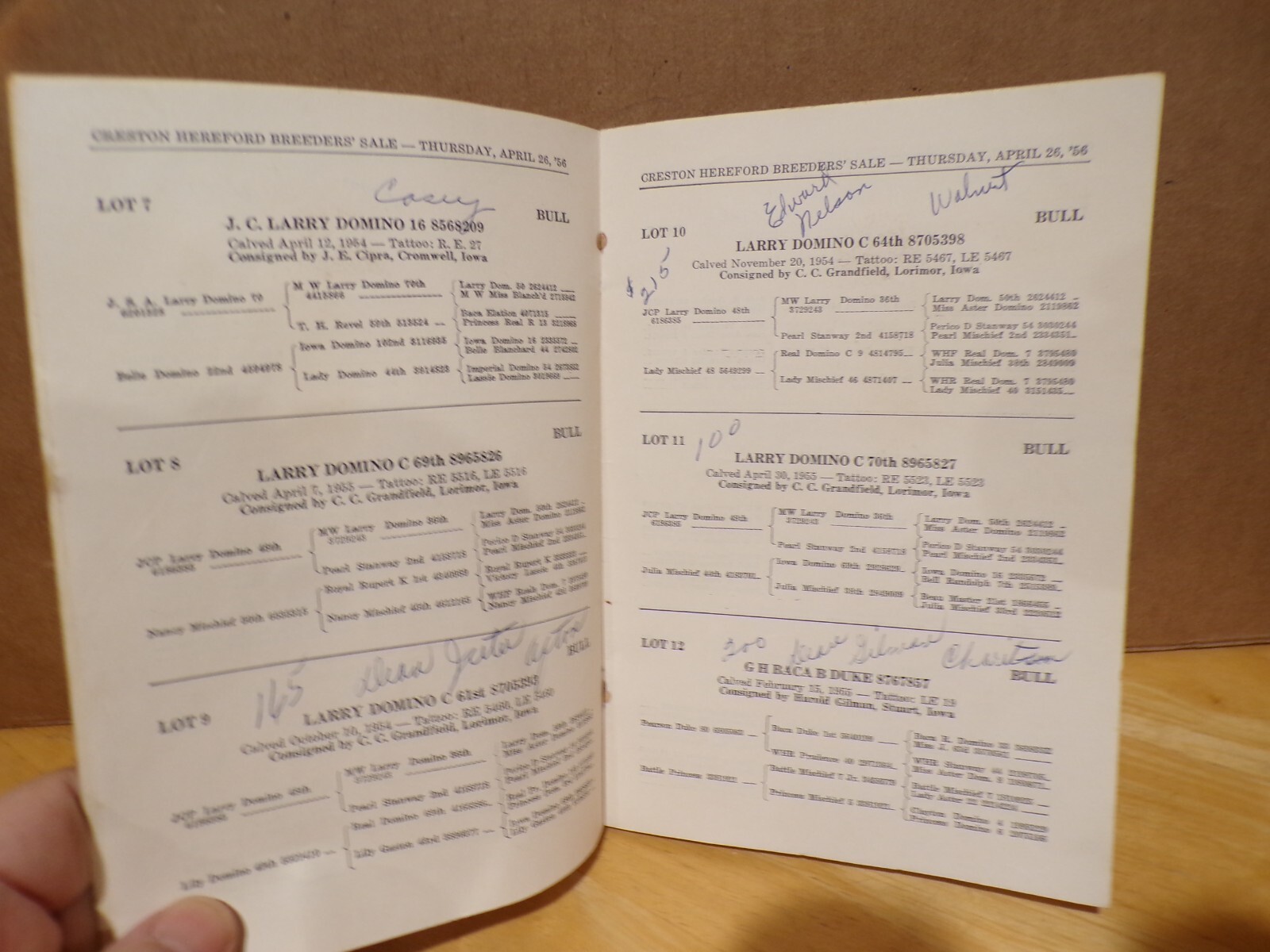 1951 Hereford breeders Auction Pavilion Creston Iowa FAMILY CONSIGNORS INSIDE?