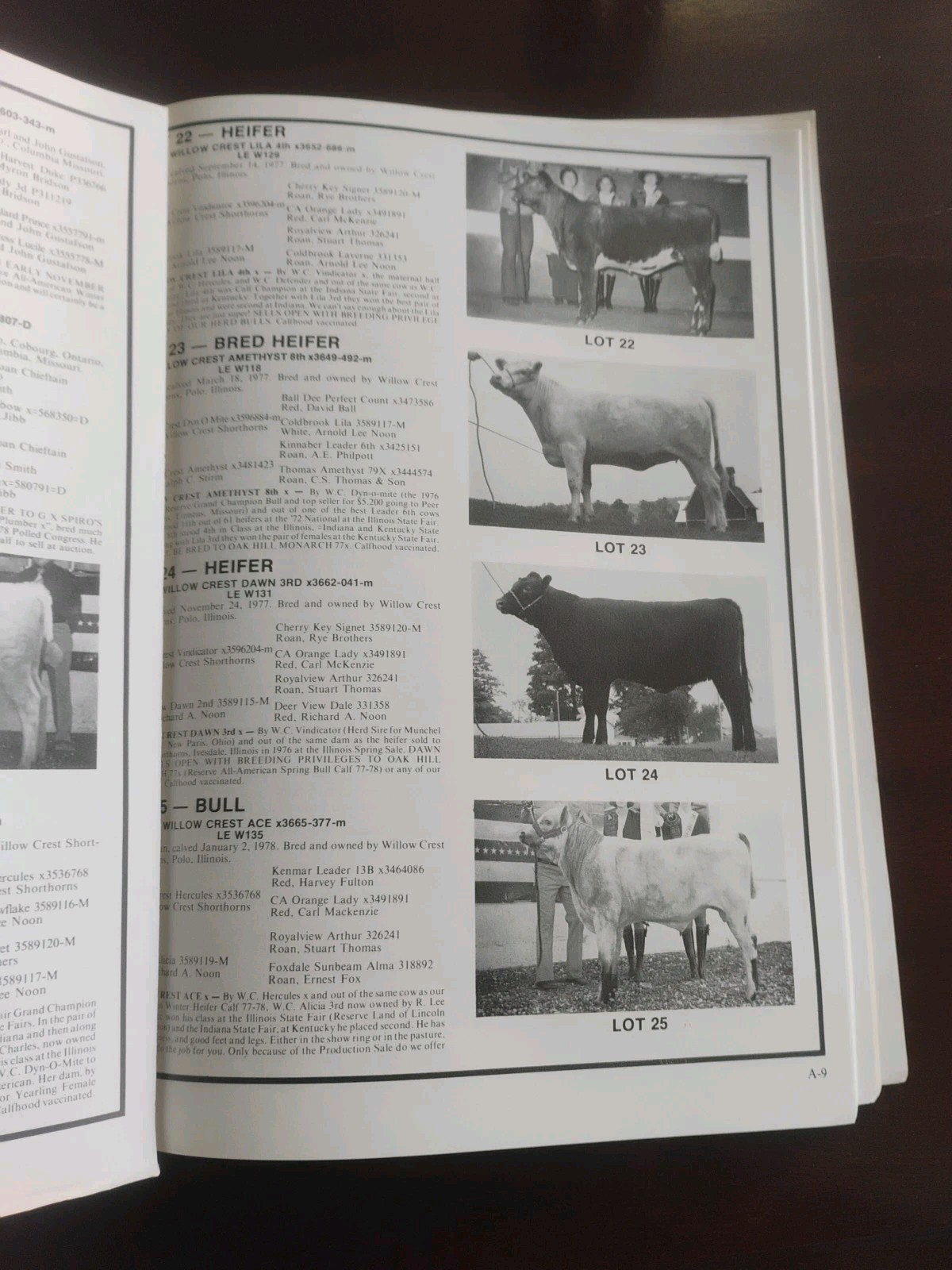 Shorthorn Country October,1978 Shorthorn Magazine Breed Publication