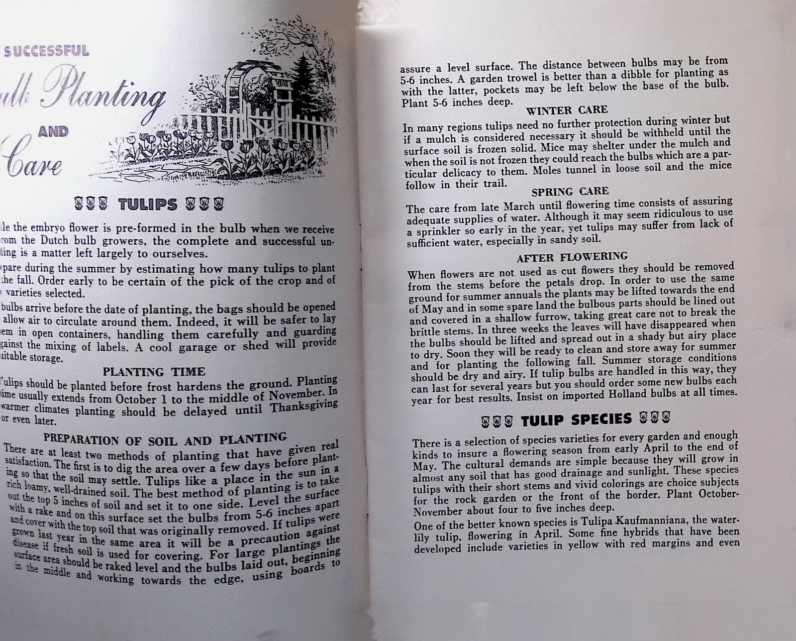 Vintage The Joy of Spring in Home and Garden Associated Bulb Grower booklet