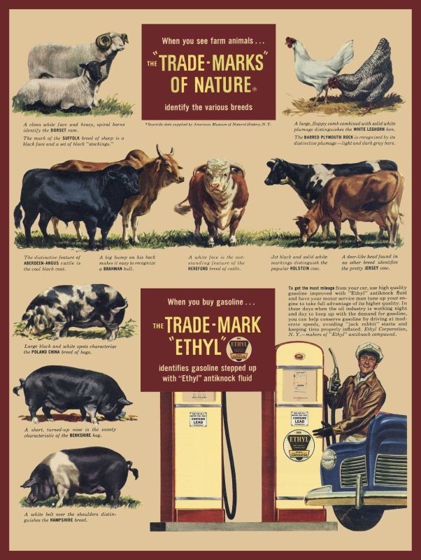 1948 ETHYL Gas – Farm Animals Theme -NEW METAL SIGN: 9×12&Prime;