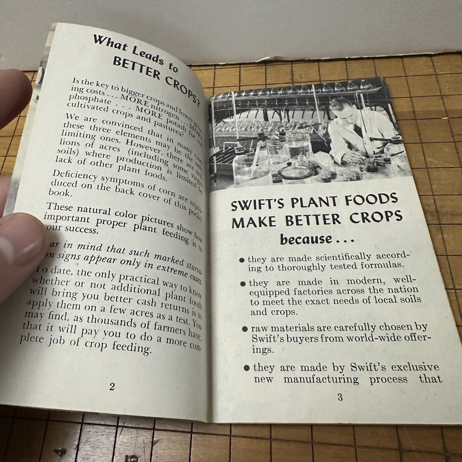 Vintage Advertising Swift&rsquo;s Plant Food Service Red Steer Memo Book
