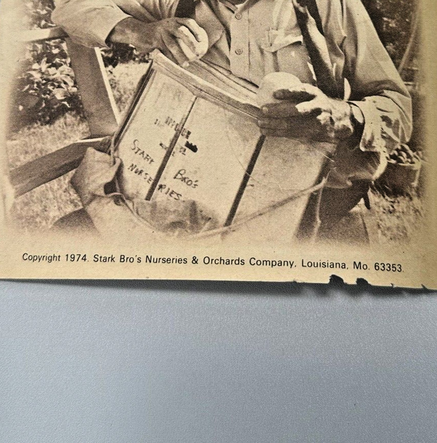1974 Paul Stark Guide To Successful Planting Growing Vintage Gardening Booklet