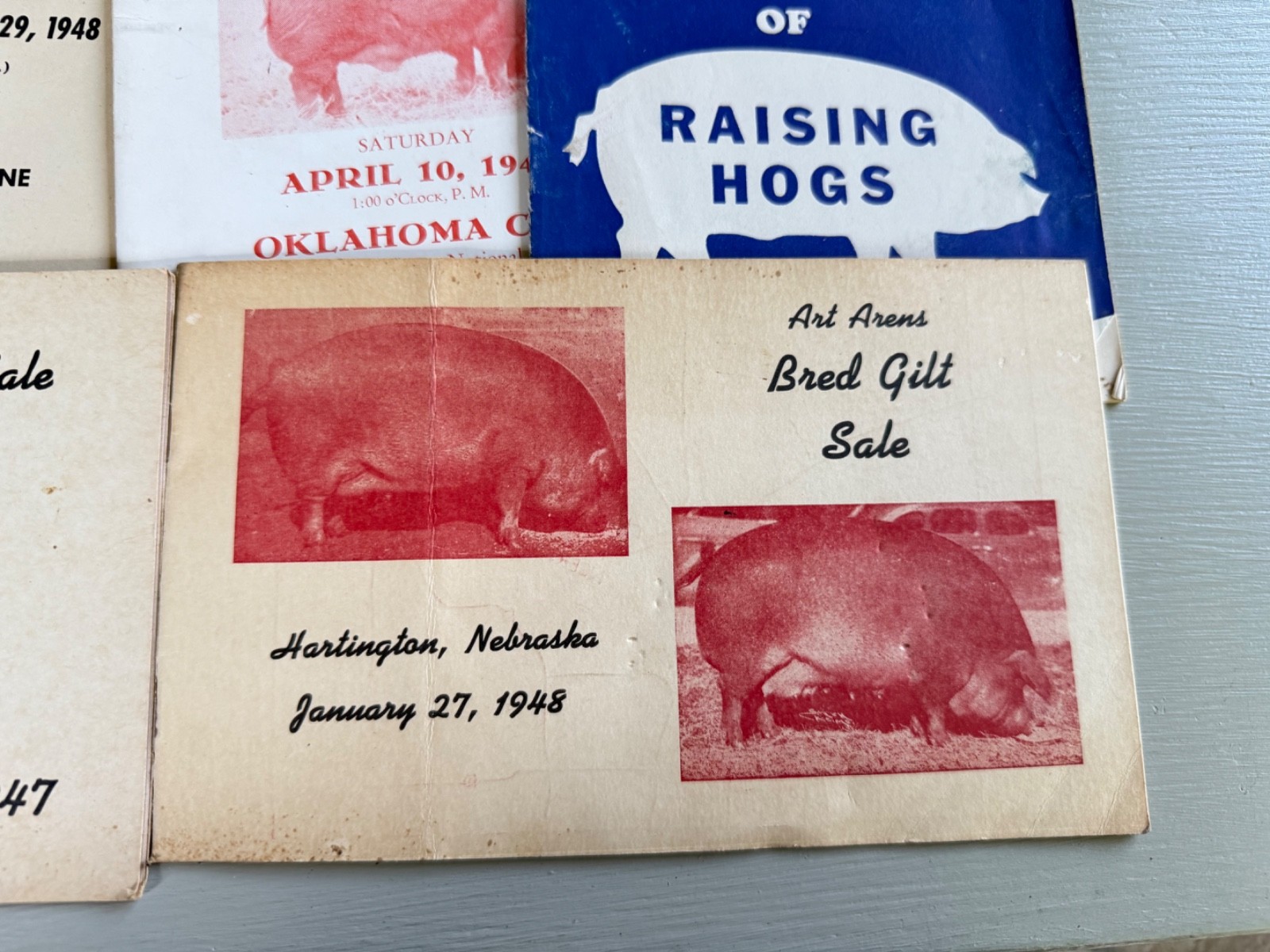 Mixed Lot of 34 Vintage Duroc Pig Hog Auction Sale Brochure Advertising KS NE CO