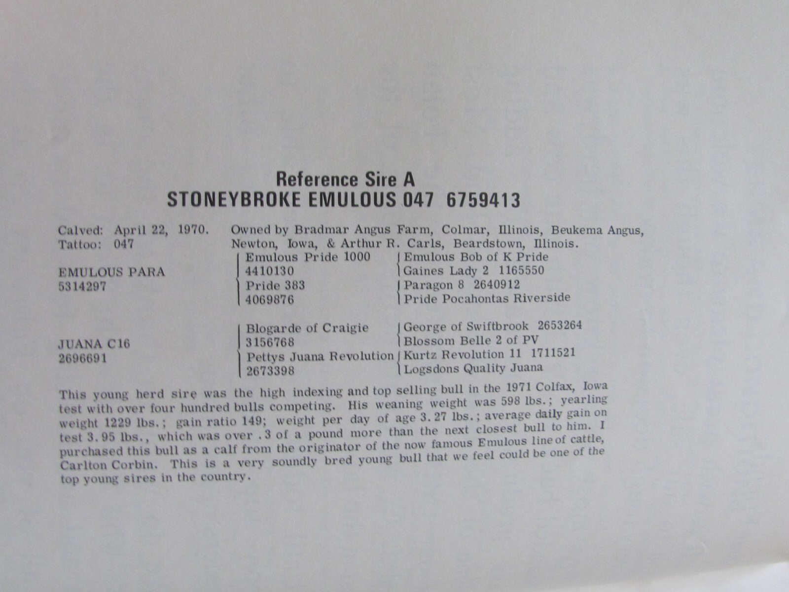 1973 ANGUS BREEDER CATTLE HERD SALES CATALOG ARTHUR CARLS BEARDSTOWN IL