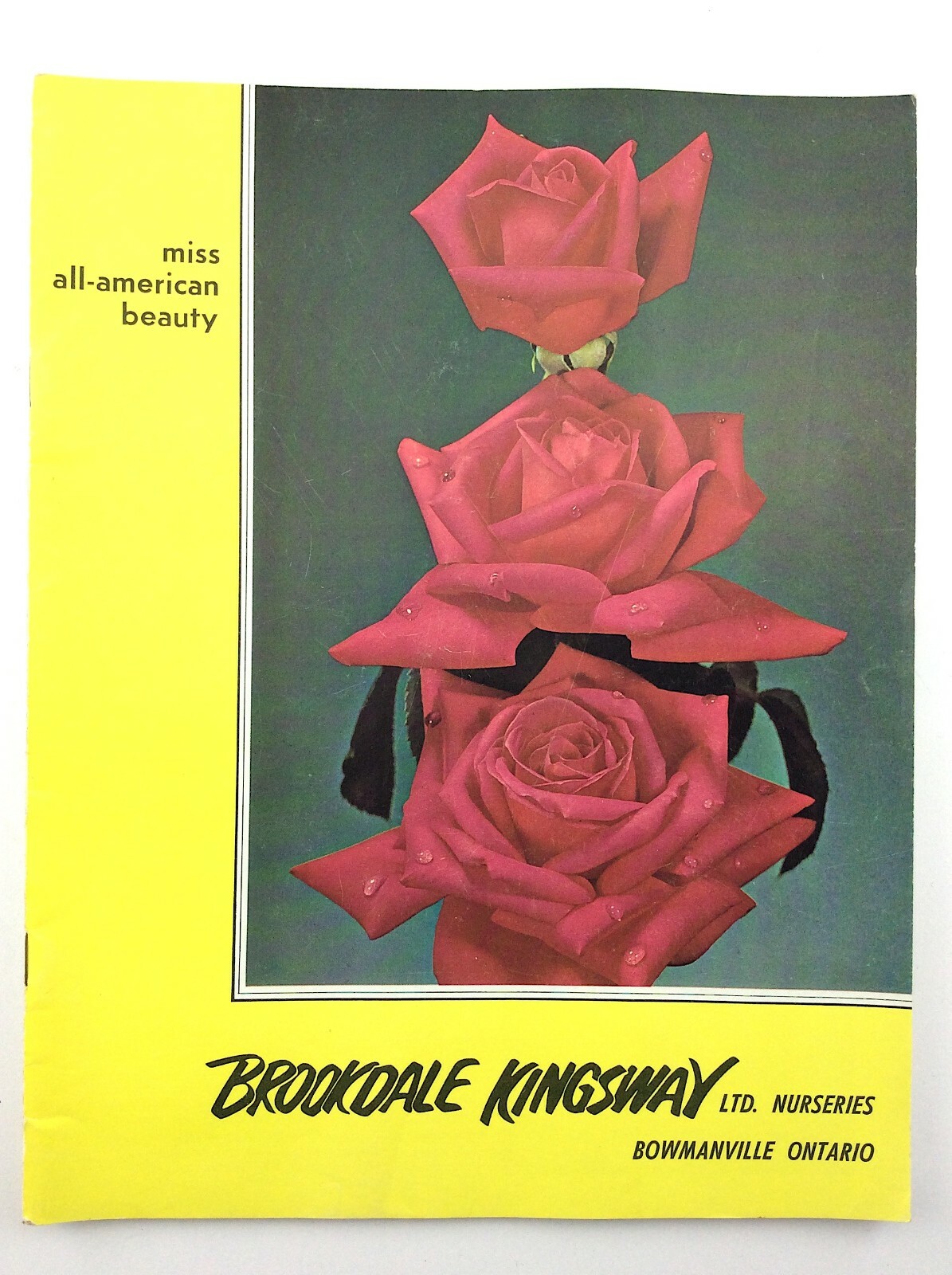 Vintage 1968 Seed Catalog Brookdale Kingsway Limited Bowmanville Ontario Q293