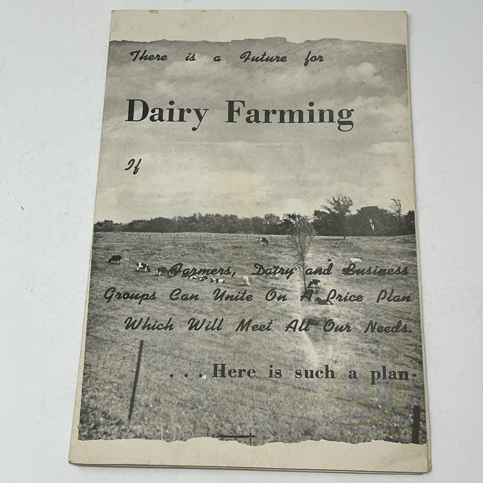 1954 There Is A Future For Dairy Farming Brochure Minnesota Farmers Union Farm
