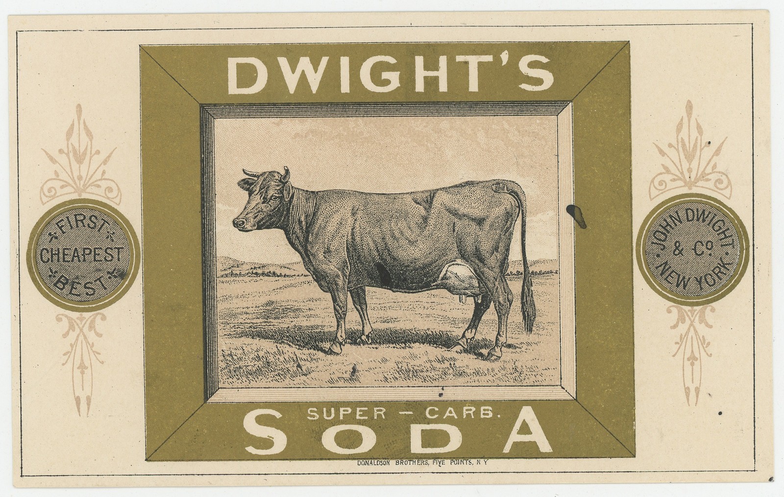 Dwights Soda Super Card Cow Awaits Milking ME 1880&rsquo;s Trade Card