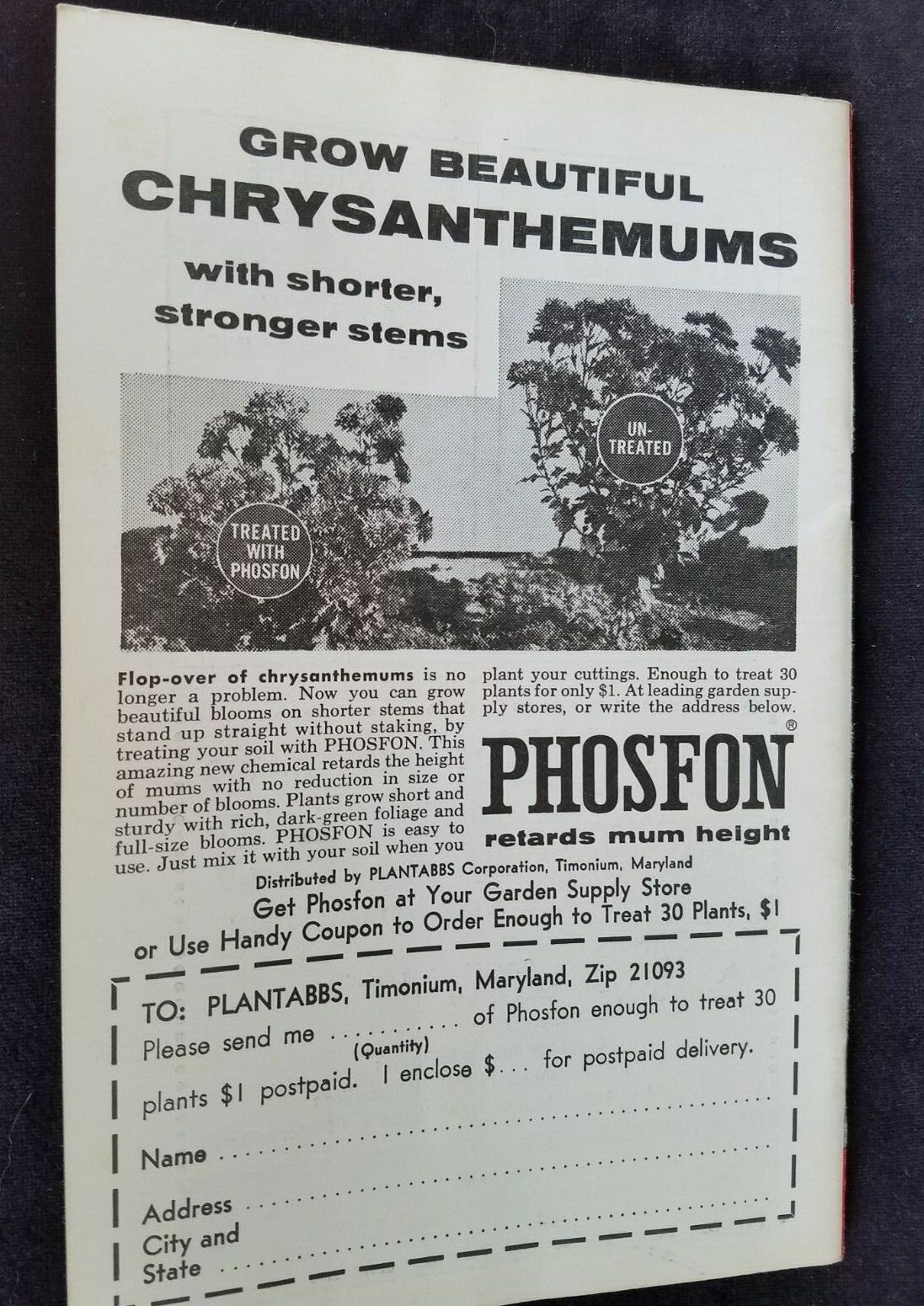 1967 National Chrysanthemum Society Bulletin Keyport NJ Member Info Gardening