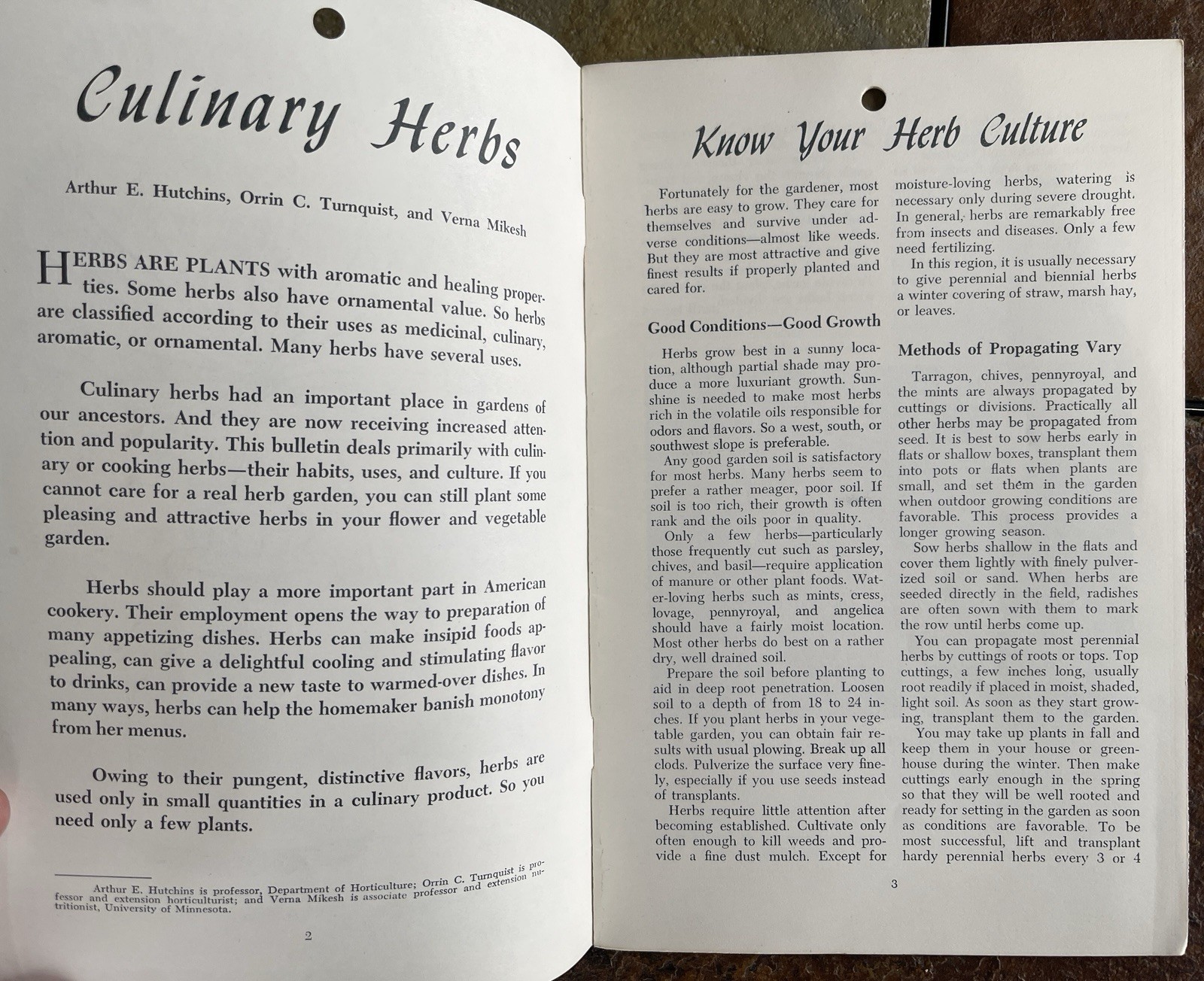 Vintage 1964 Culinary Herbs U of Minnesota Agricultural Extension Service.