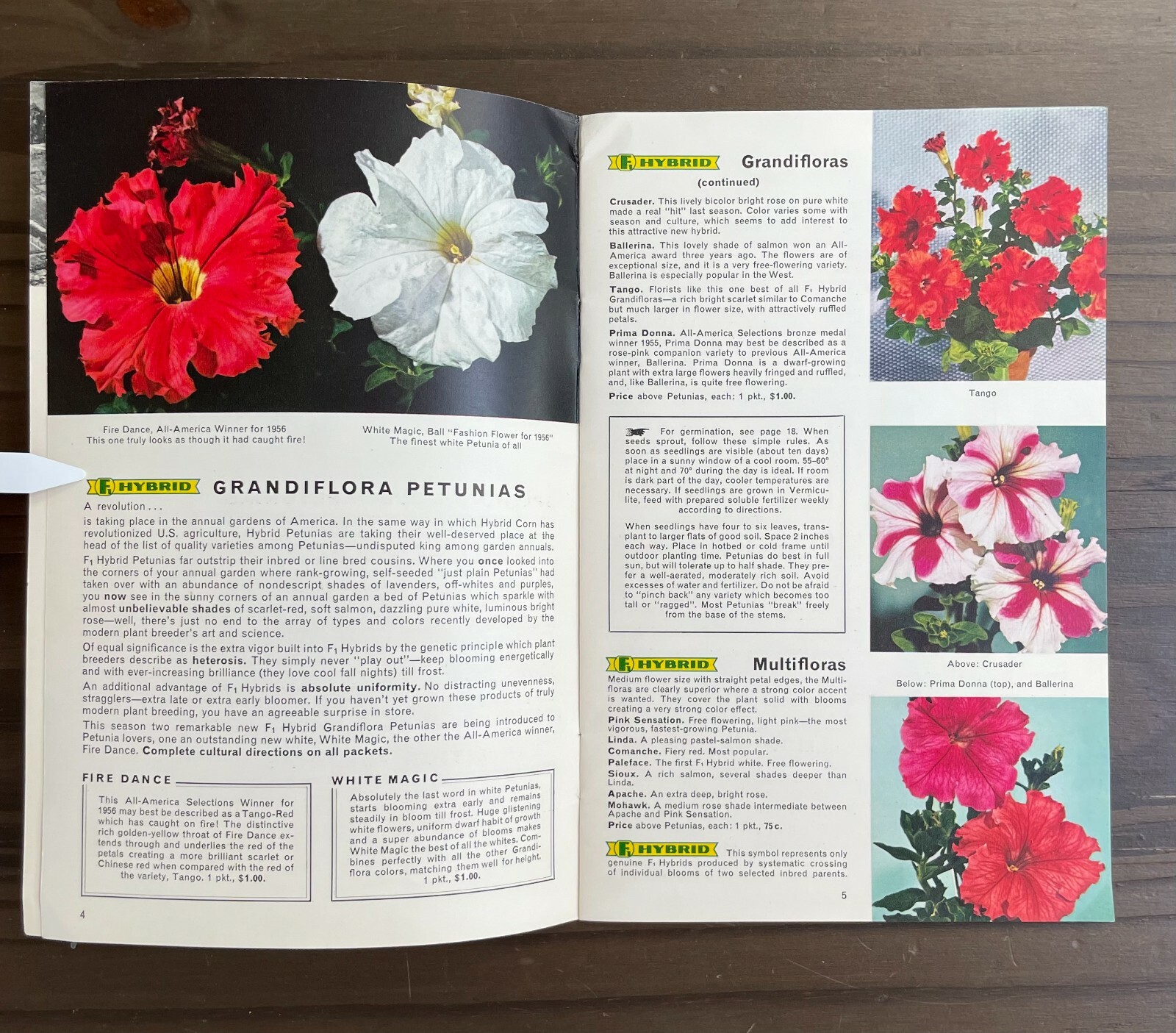 Seedcraft Vintage Garden Flower Catalog Rainbow Coleus Geo J Ball 1950s Booklet