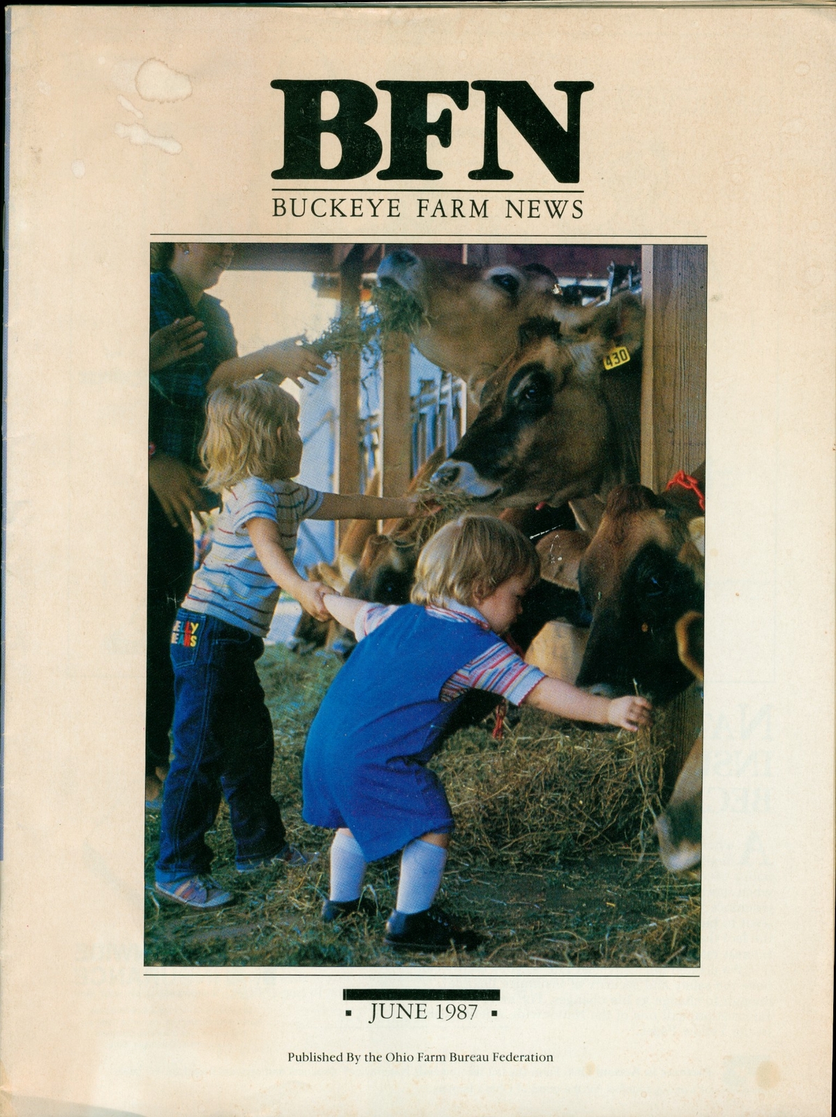 1987 Buckeye Farm News Ohio Bureau June Member Magazine Dairy Crops Farming BFN