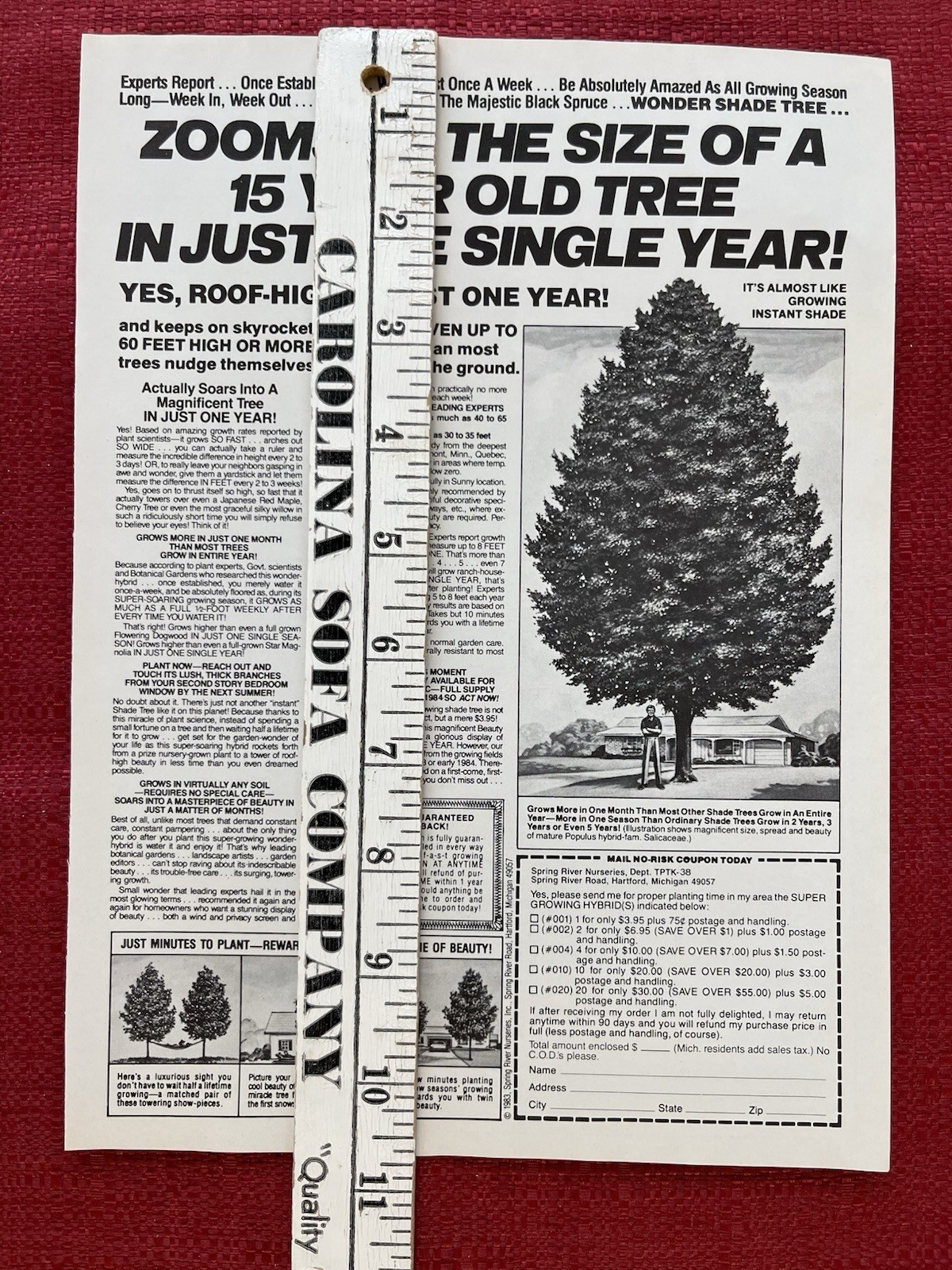 Spring Rivers Nurseries 1983 Print Ad Super Growing Hybrid Shade Trees Ad