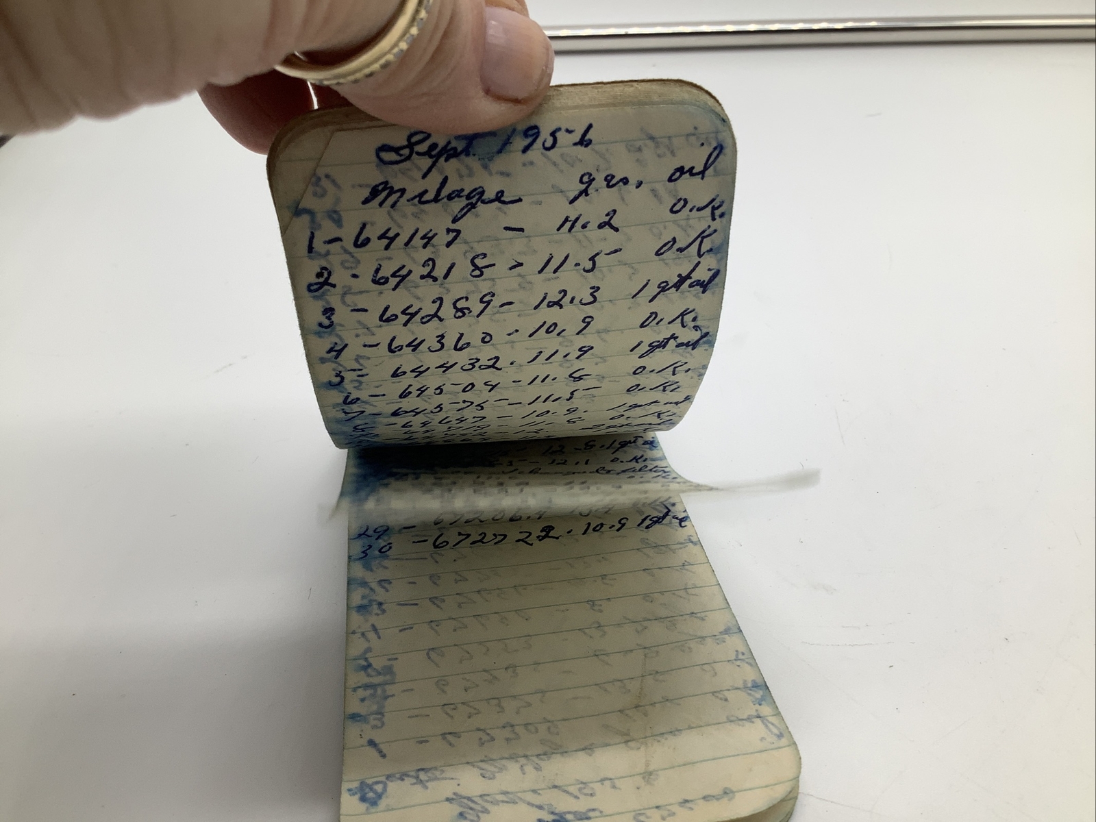 Vintage Baugh’s Premium Plant Food Notepad Tablet Baugh & Sons Co 1956