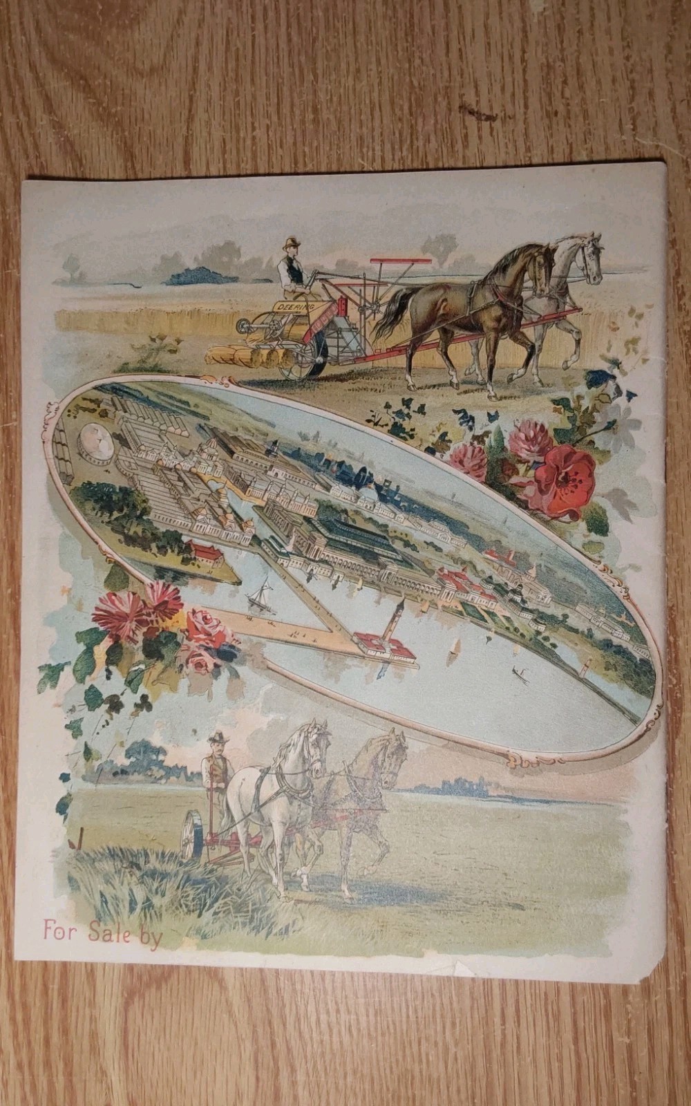 VINTAGE DEERING CO. CUTTING MACHINERY BOOKLET  »TRIUMPHS OF THE 19th CENTURY »