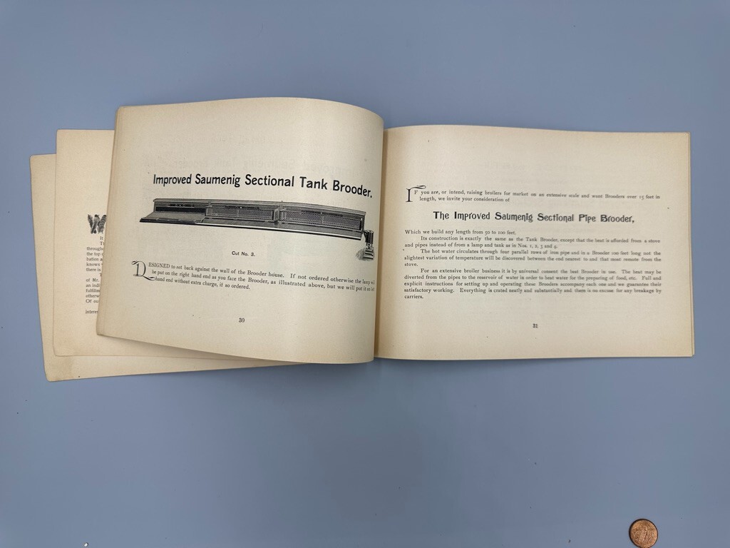Rare 1893 BUCKEYE INCUBATOR CO Chicken CHICKS Farm Advertise BOOK Springfield OH