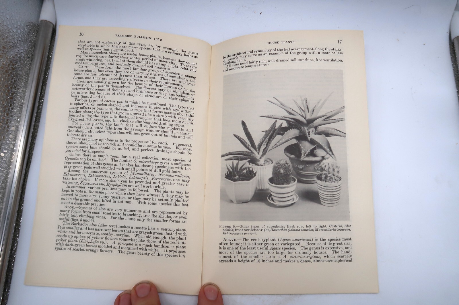 1941 USDA Farmers&rsquo; Bulletin No. 1872 House Plants Ephemera Furman Lloyd Mulford