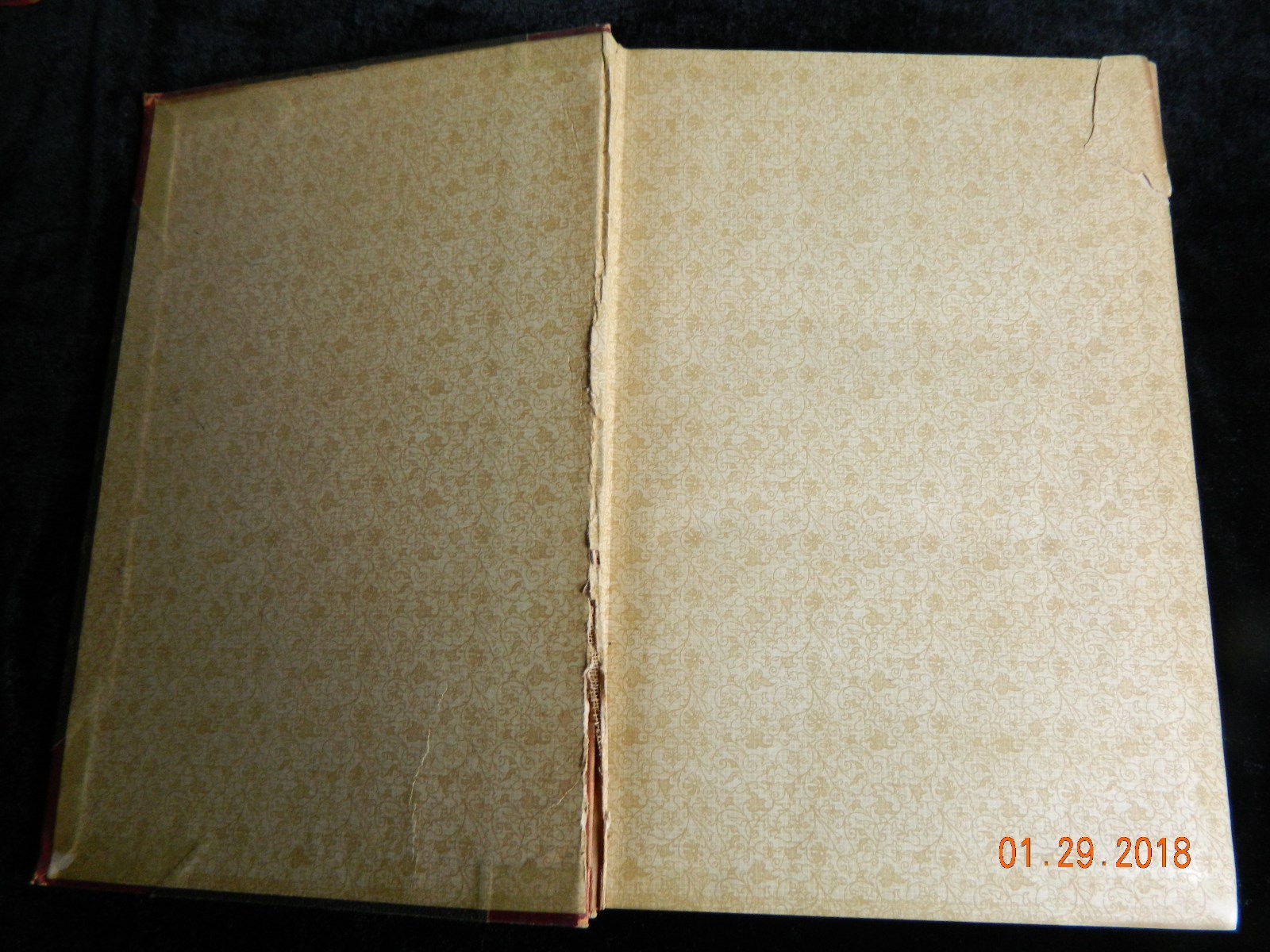 American Aberdeen-Angus Herd Book Vol 31 Original Hardcover RARE VINTAGE 1919