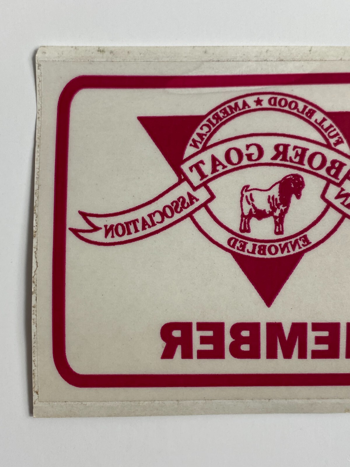 MEMBER American Boer Goat Association Full Blood Window Decal Sticker Livestock