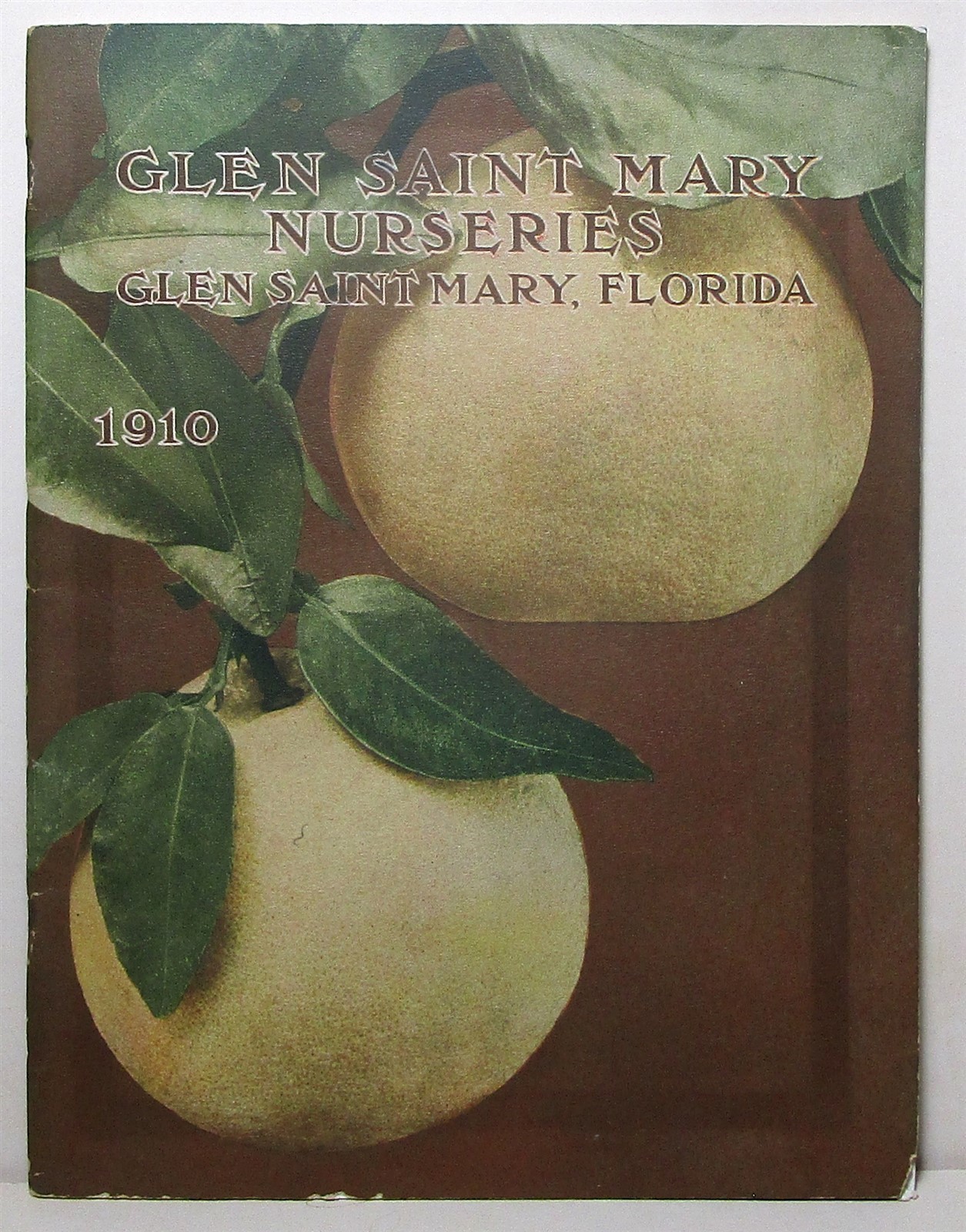 1910 Glen Saint Mary Nurseries catalog, Florida
