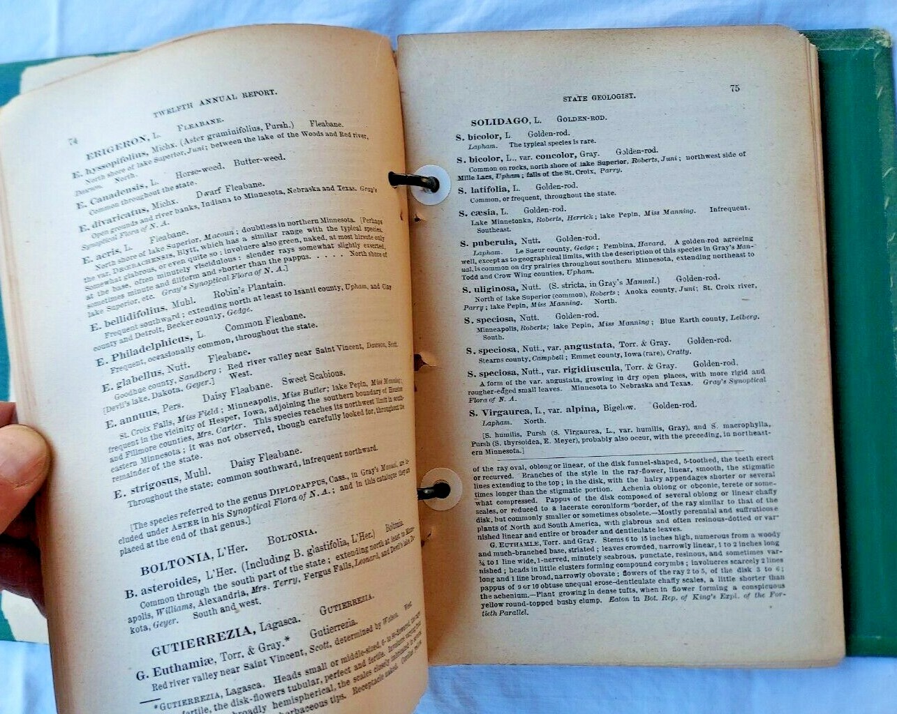 1884 « Flora of Minnesota » in vintage lawn care book Scotts Lawn Care binder