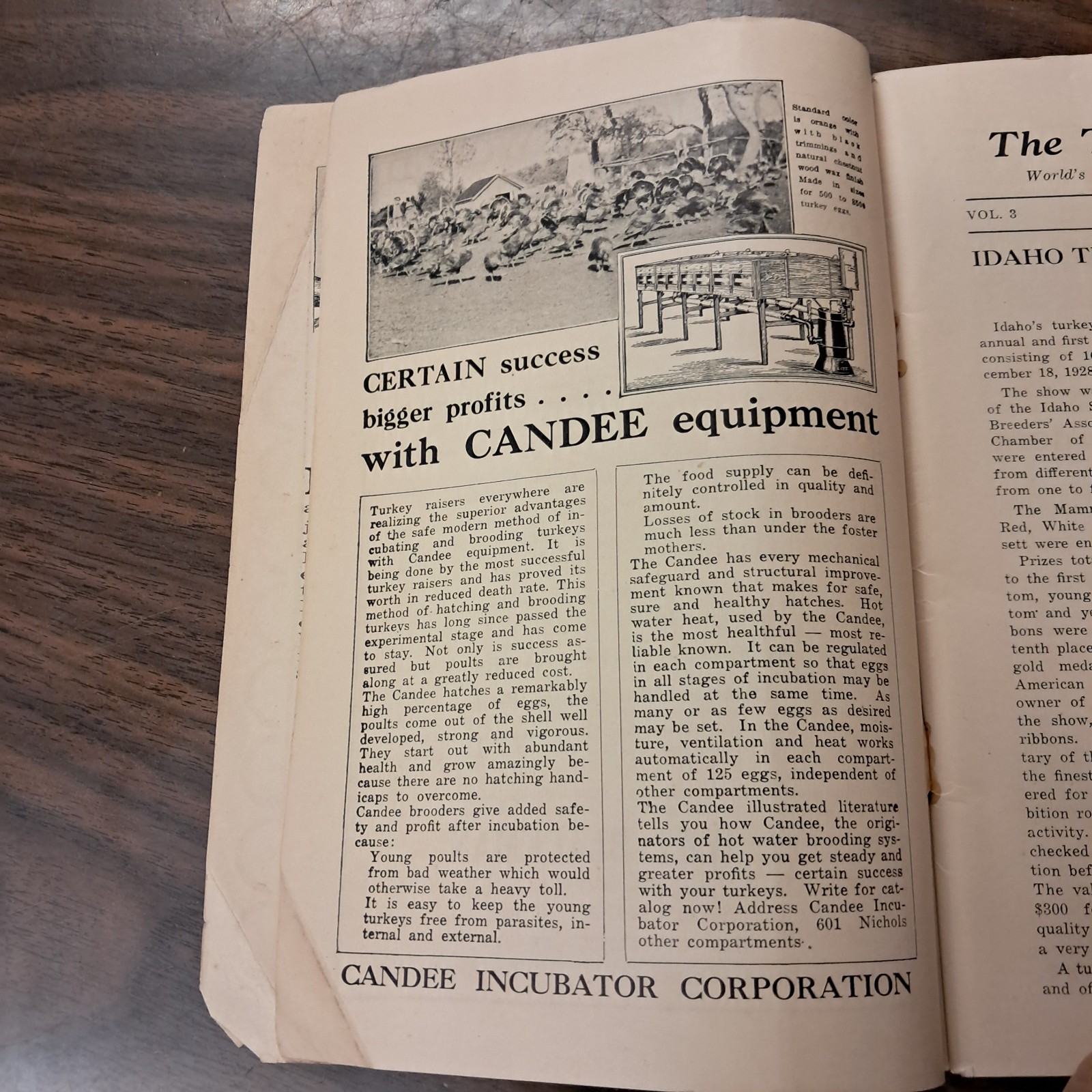 Vintage 1929 Turkey World Show Book & Talking Turkey Beacon Milling Co. N.Y.