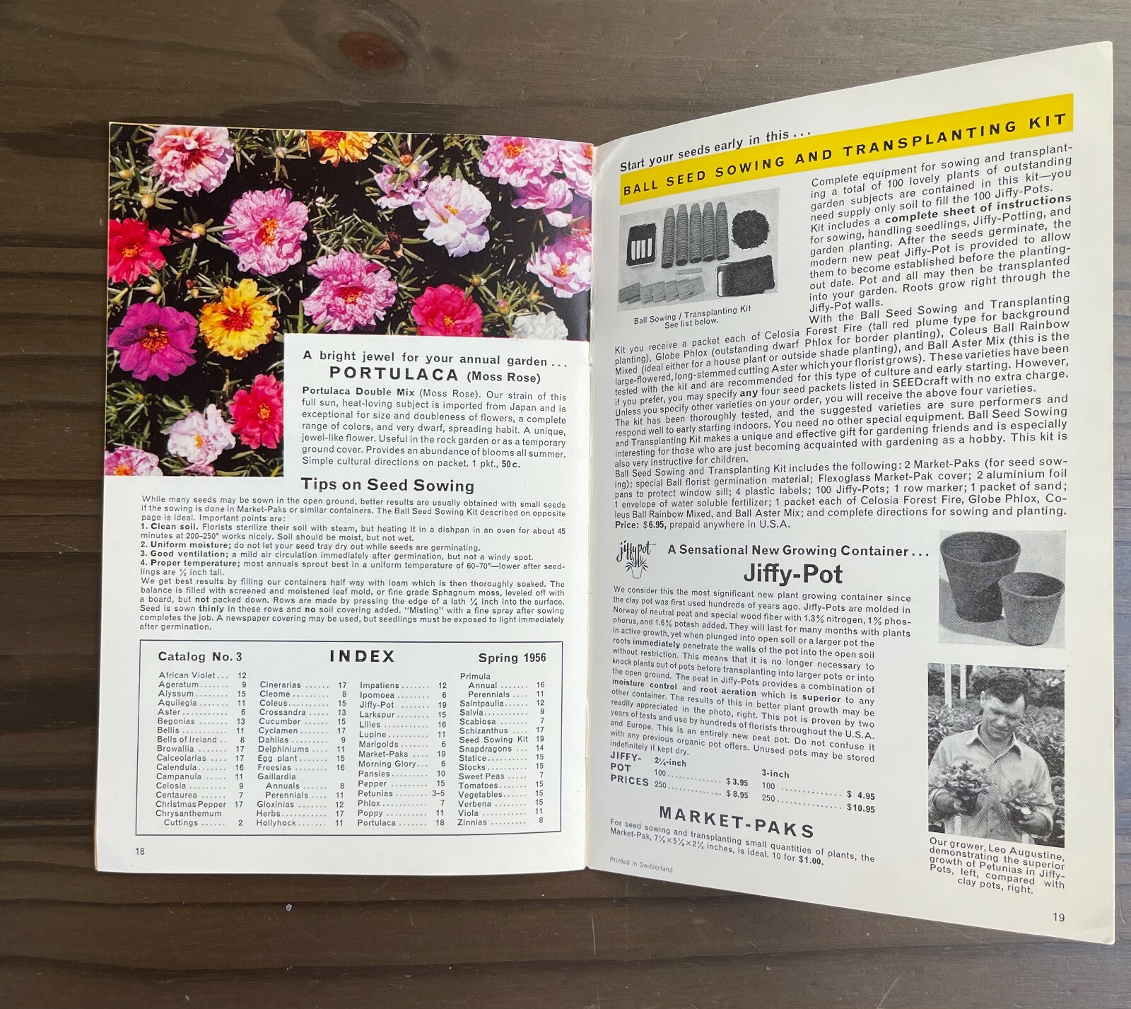 Seedcraft Vintage Garden Flower Catalog Rainbow Coleus Geo J Ball 1950s Booklet