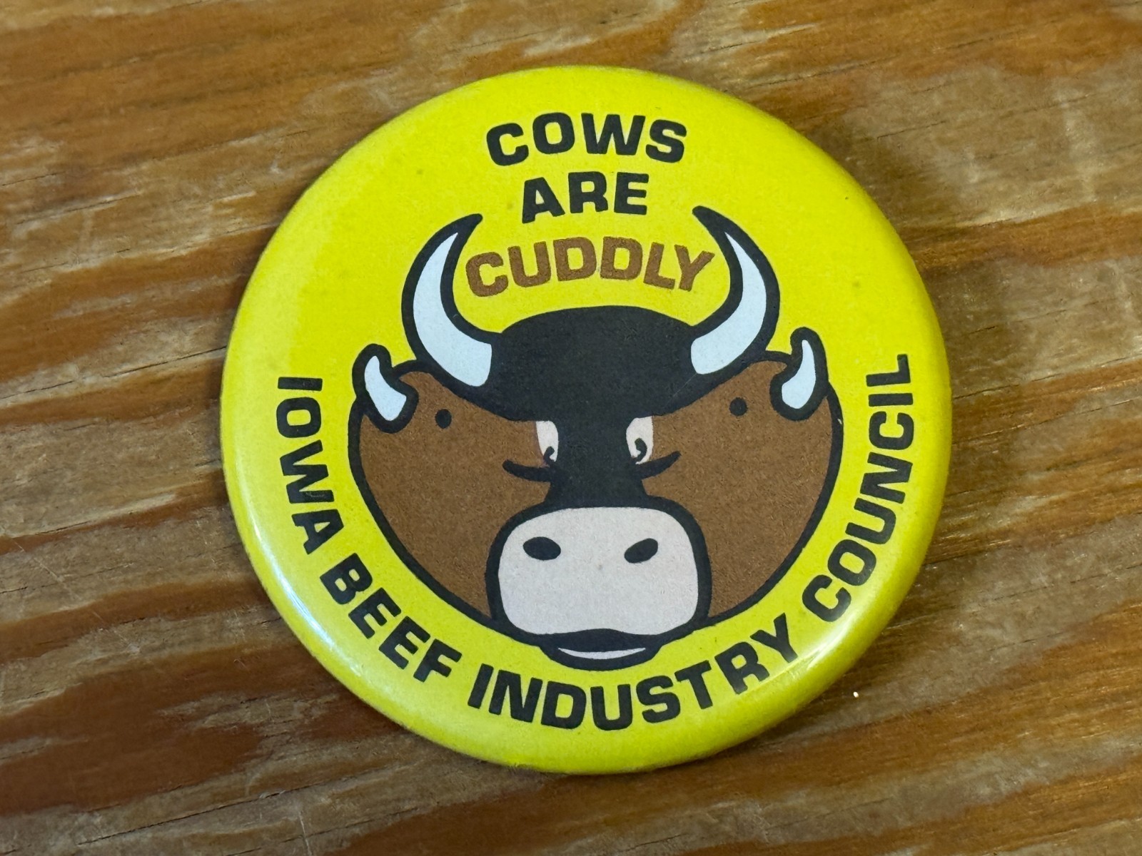 Vintage Cows Are Cuddly Iowa Beef Council Vintage Pin Button 2 1/4&Prime;