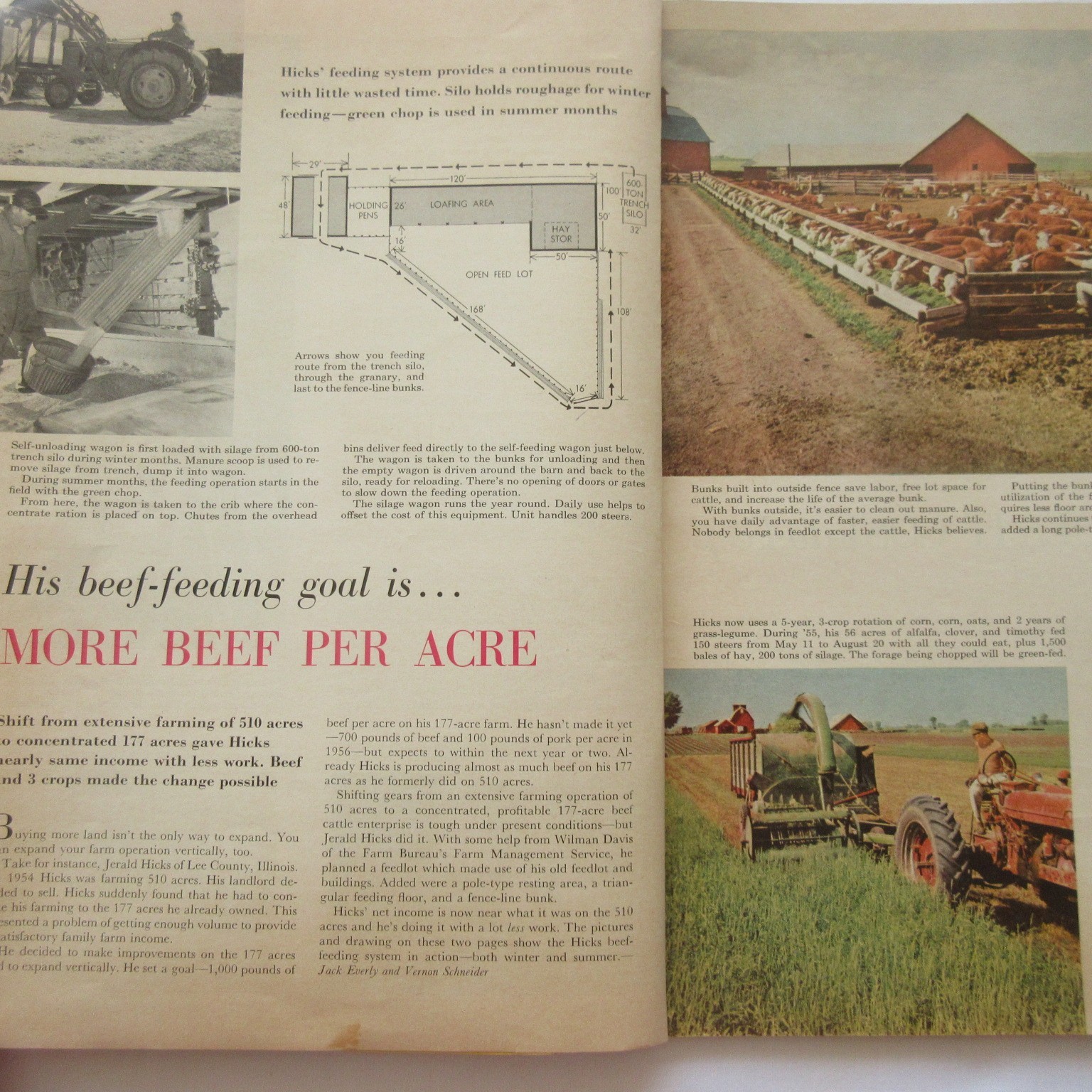 Vintage 1959 Successful Farming&rsquo;s Livestock Book Beef Hogs Dairy Poultry Sheep