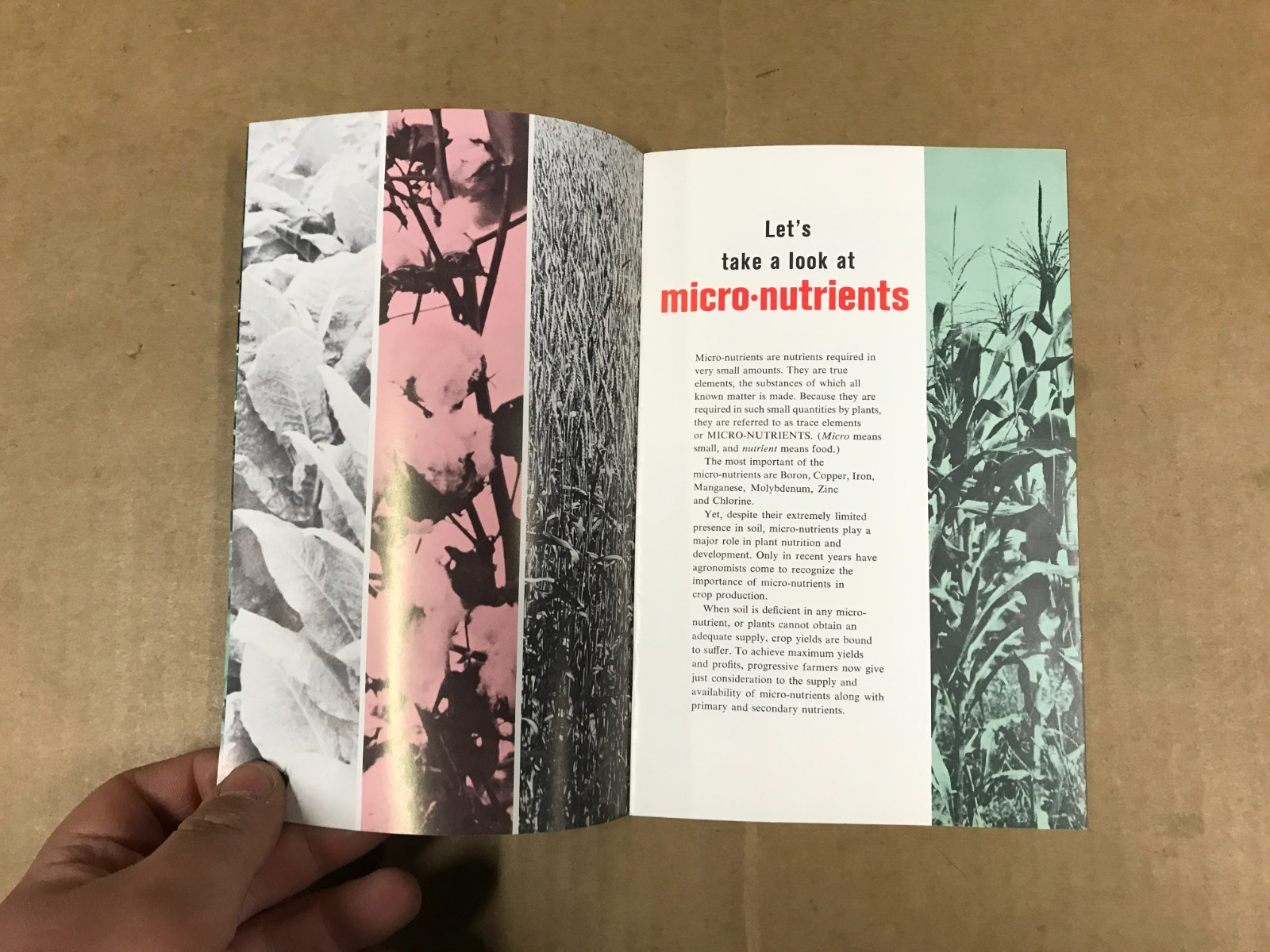 Vintage Micro-Nutrients Can Break The Crop Yield Barrier – Federal Chemical Co.
