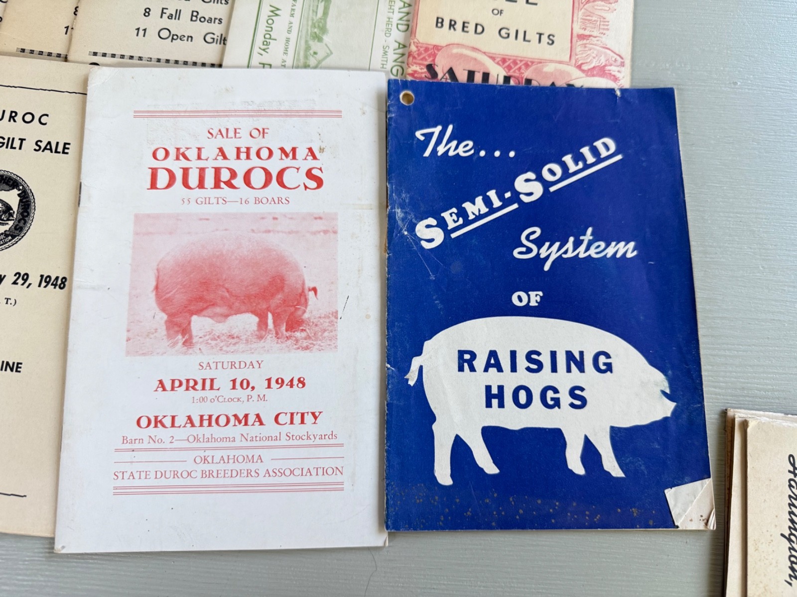 Mixed Lot of 34 Vintage Duroc Pig Hog Auction Sale Brochure Advertising KS NE CO
