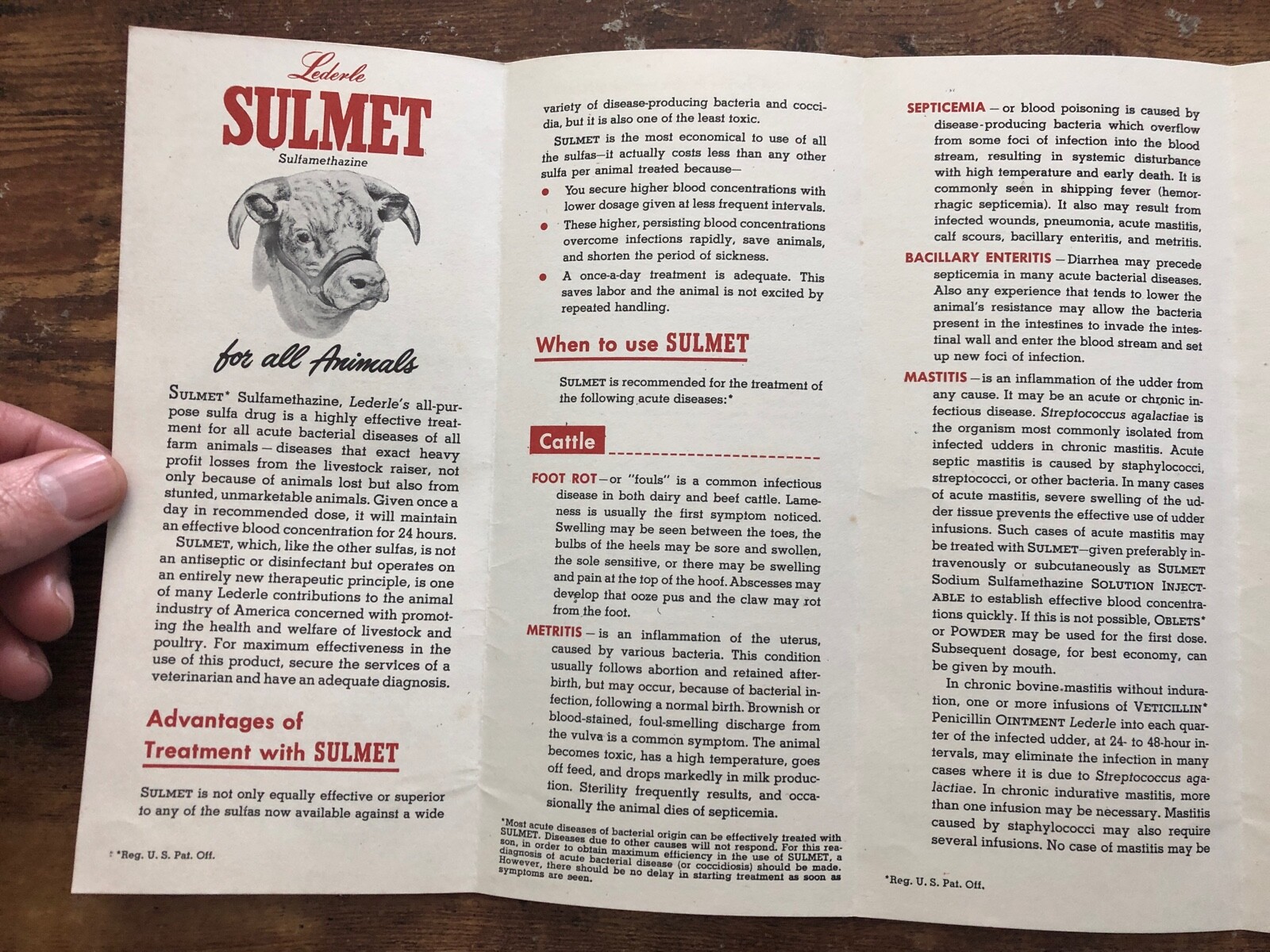 Vintage SULMET All Animals Brochure Lederle Labs CATTLE SWINE HORSE CALF SHEEP