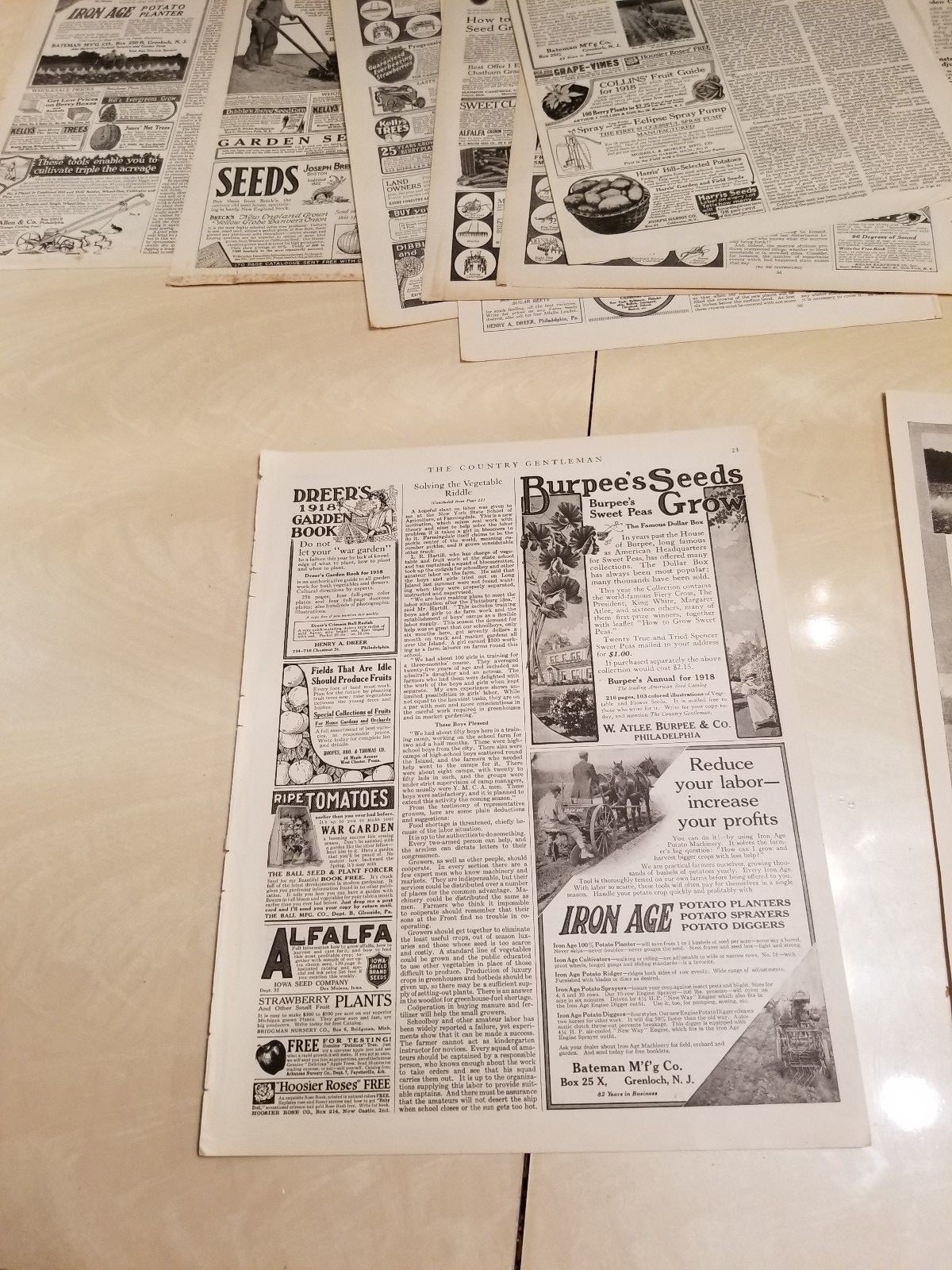 Bateman Manufacturing Company 1916-1919 The Country Gentleman 17 print ads