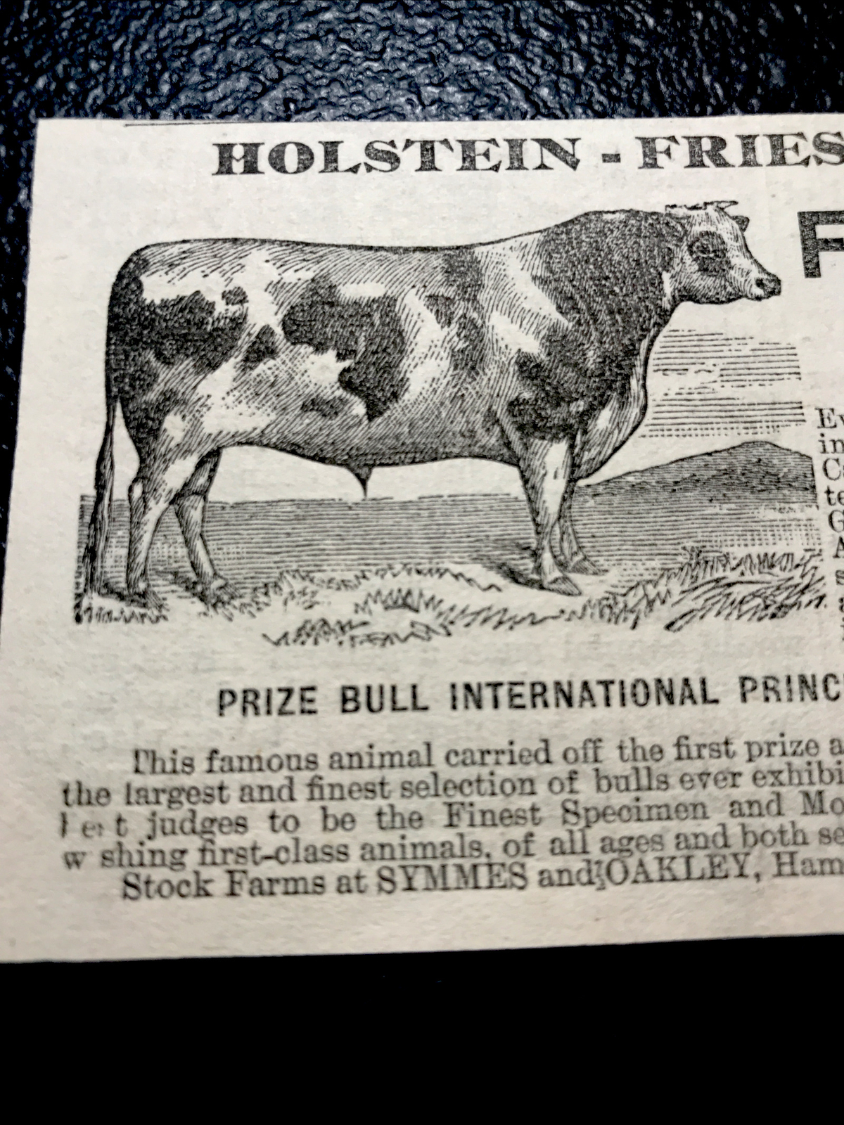 1886 French Brothers Cattle Cow Farm Advertising – Cincinnati – Ohio