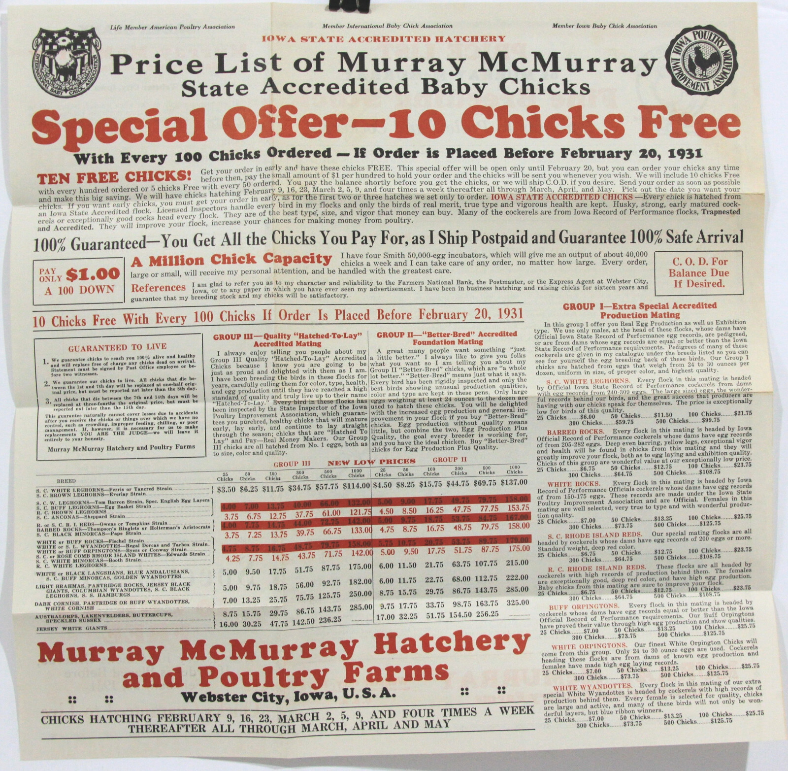 Murray McMurray Baby Chicks Hatchery Mail Order Forms 1931 Webster City IA
