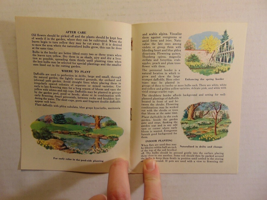 Vintage The Joy of Spring In Home & Garden Associated Bulb Growers of Holland