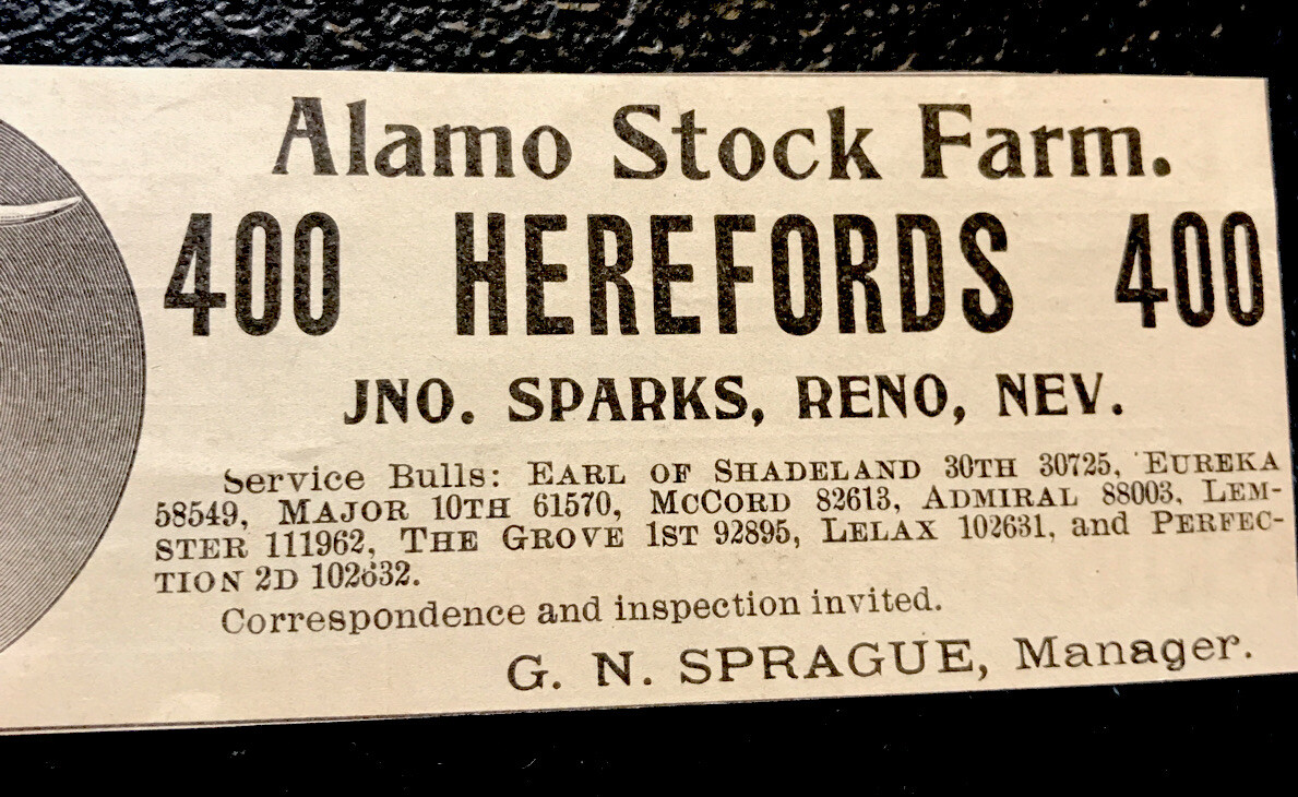 1902 Alamo Stock Farm Cattle Cow Advertising – Reno – Nevada