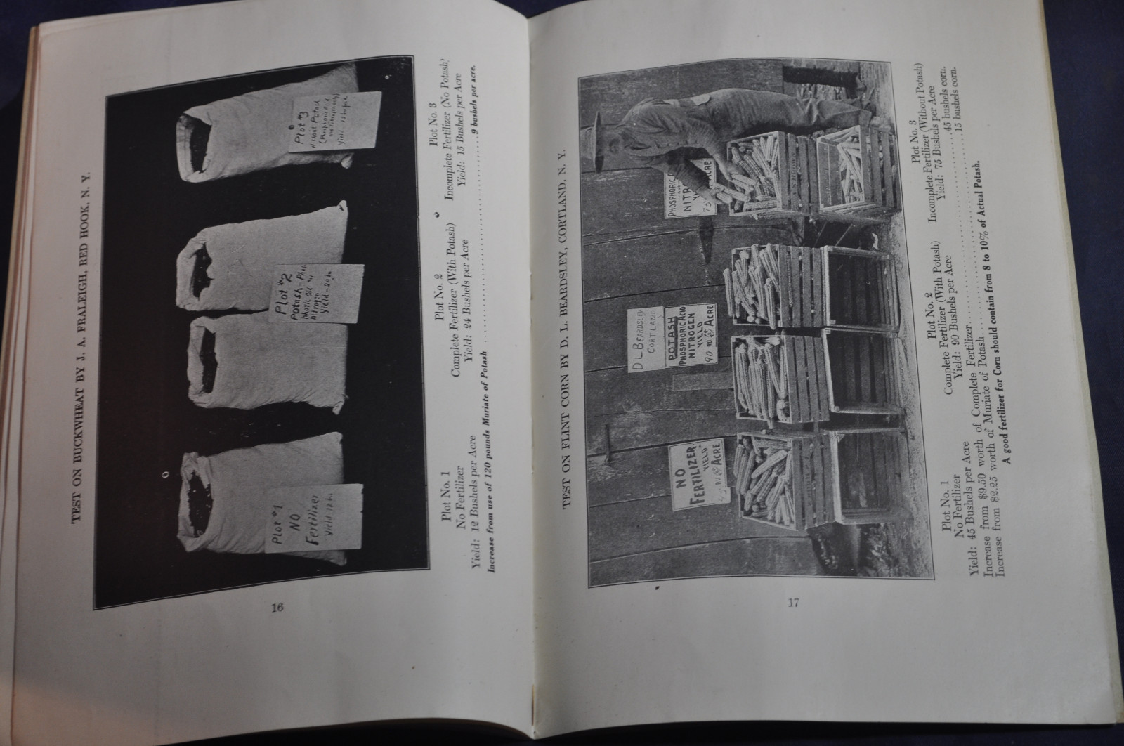 Ca 1920 German Kali Works Brochure on New York Fertilizer Results
