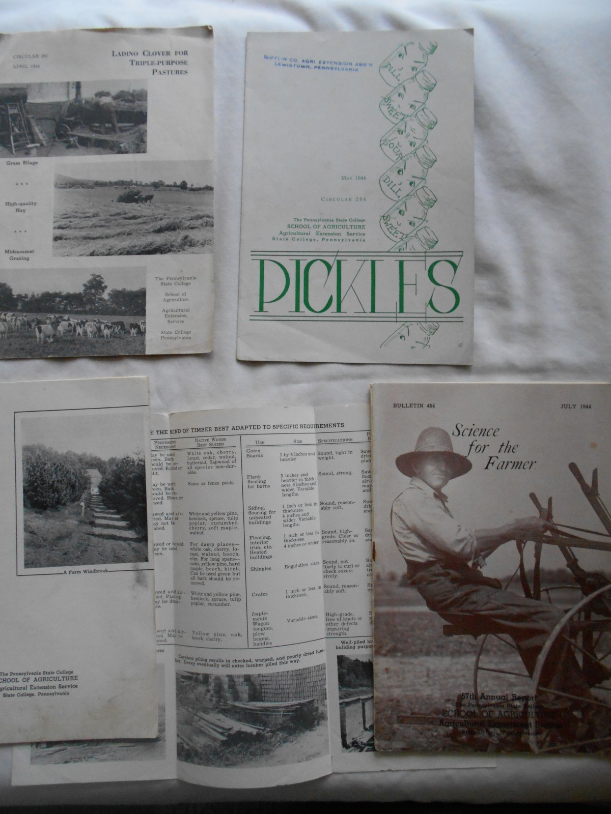 6 PENNSYLVANIA STATE COLLEGE SCHOOL OF AGRICULTURE BULLETINS-30-40&rsquo;S-#3