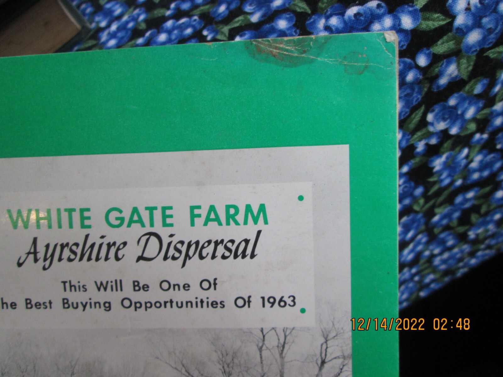 white gate farm east ayrshire dispersal LYME Connecticut booklet