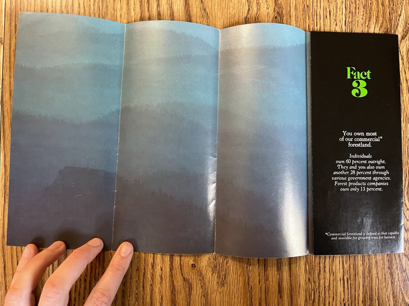 1970s American Forest Institute Vintage Brochure Forest Industry Management